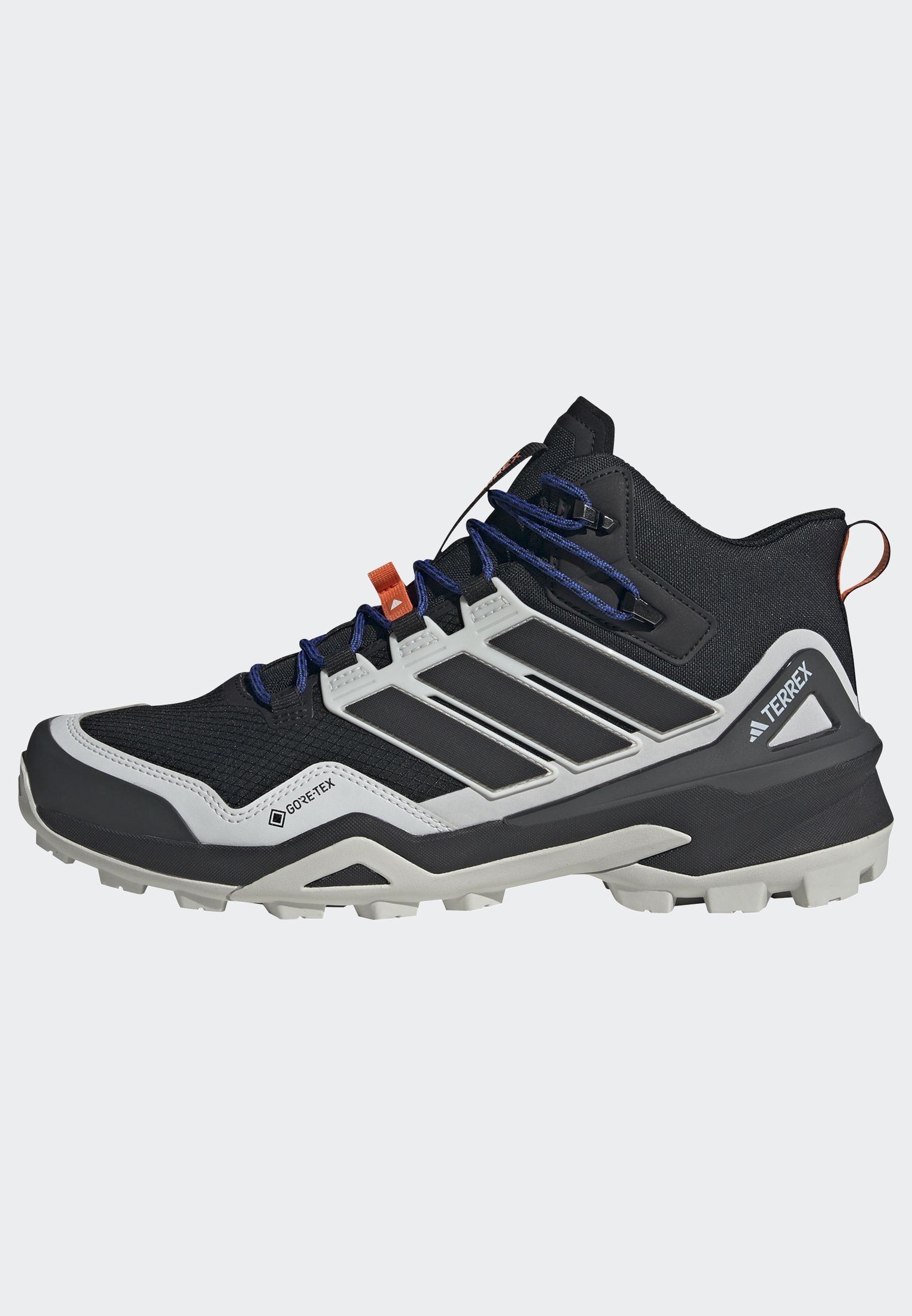 adidas TERREX Wanderschuh »TERREX SKYCHASER MID GORE-TEX«