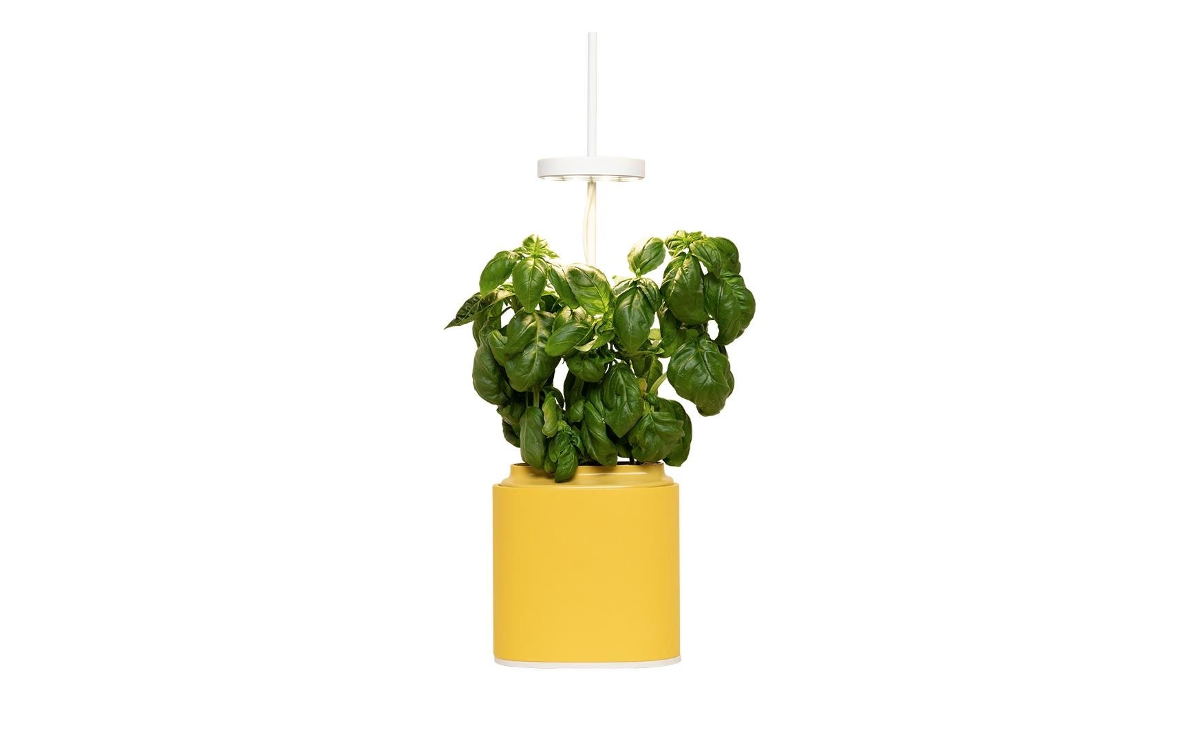 Image of Kräutertopf "Prêt à Pousser Nano"