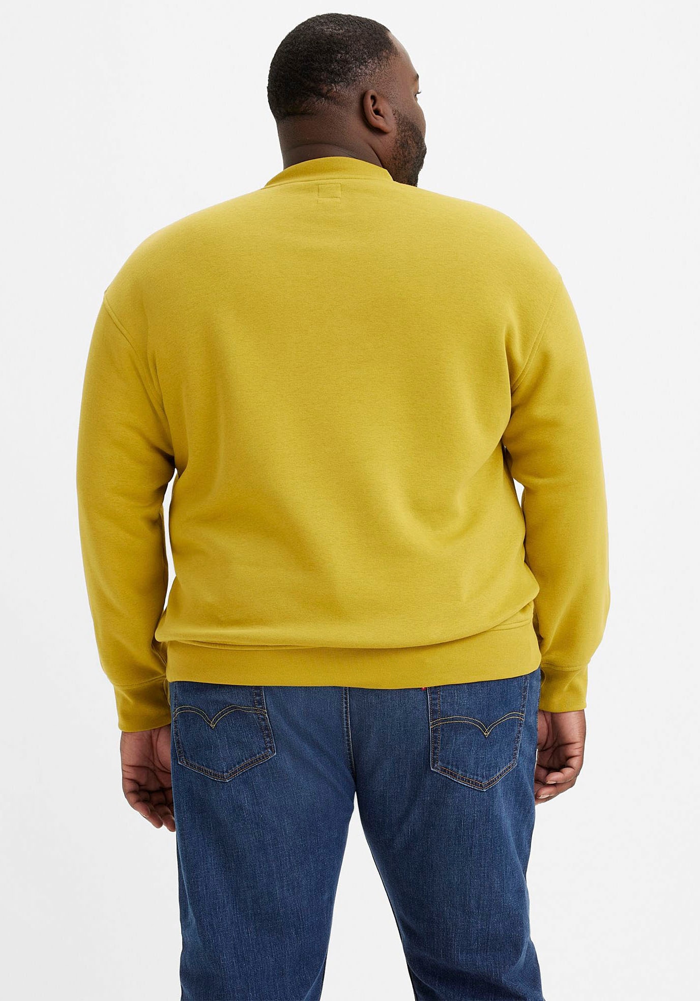 Levi's® Plus Sweatshirt »BIG RELAXED GRAPHIC CREW«