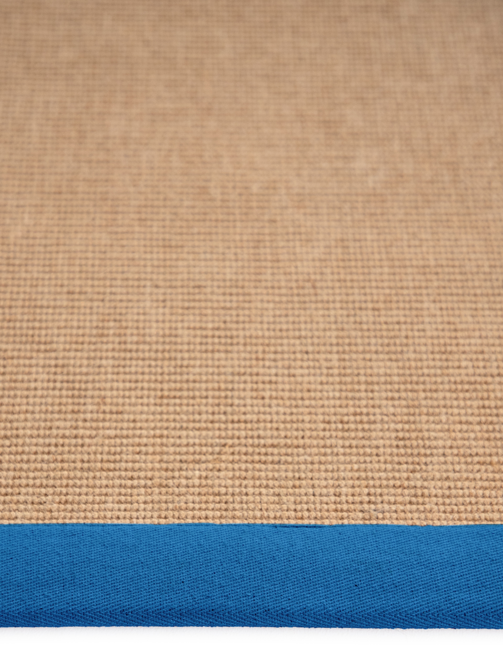carpetfine Sisalteppich »Sisal«, rechteckig, 5 mm Höhe, mit farbiger Bordüre, Anti Rutsch Rückseite