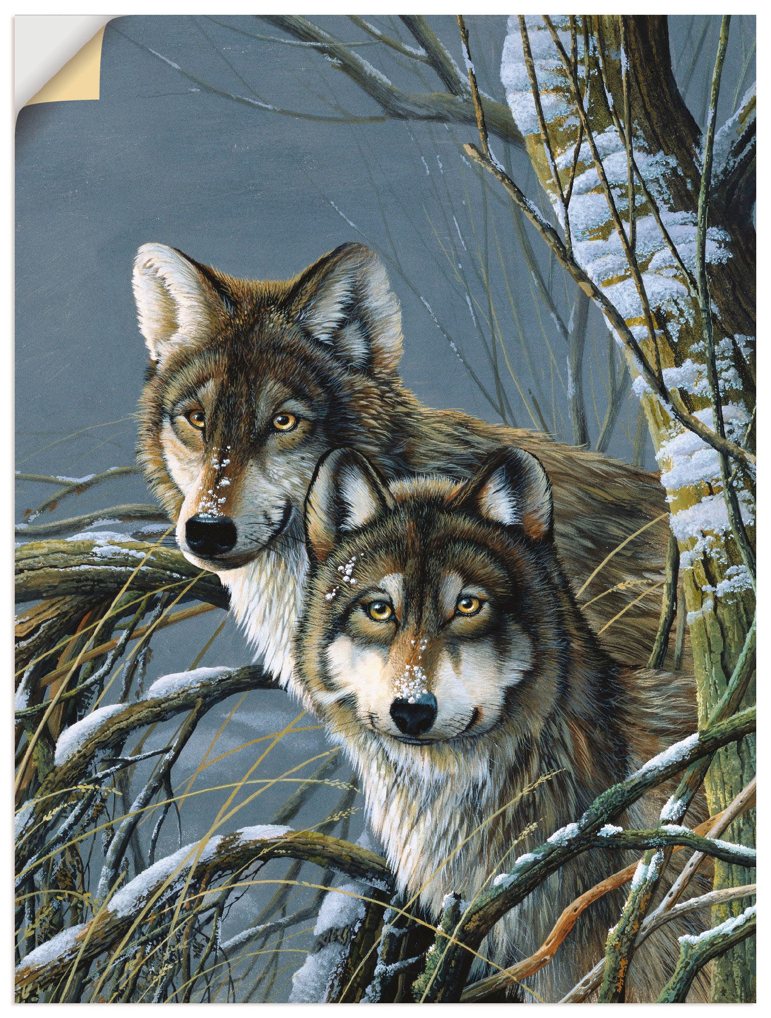 Artland Wandbild »Zwei Wölfe«, Wildtiere, (1 St.), als Leinwandbild,  Wandaufkleber oder Poster in versch. Grössen jetzt kaufen