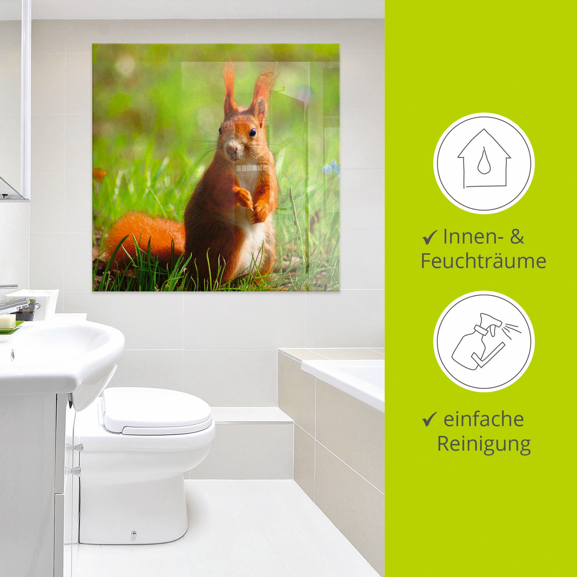Artland Glasbild »Eichhörnchen Kontakt«, Wildtiere, (1 St.), in verschiedenen Grössen