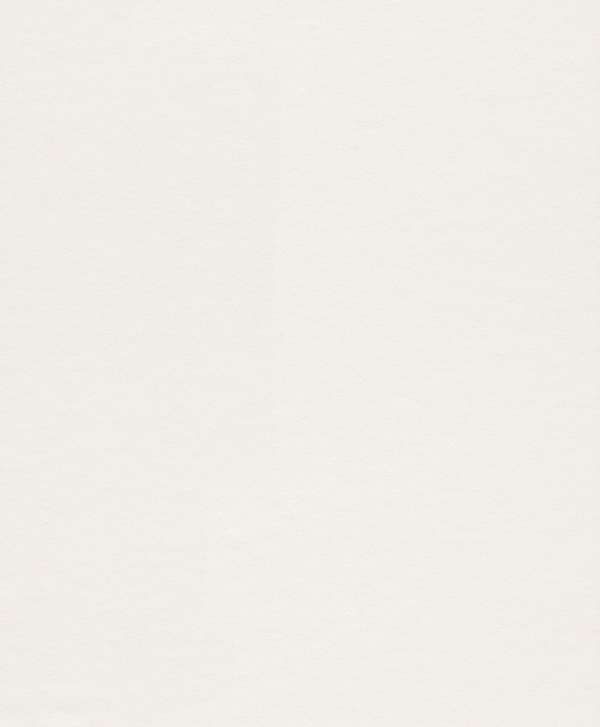 Image of Rasch Vliestapete »Makulaturvlies«, uni bei Ackermann Versand Schweiz