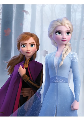 Komar Poster »Frozen Sisters in the Wood«, Disney kaufen