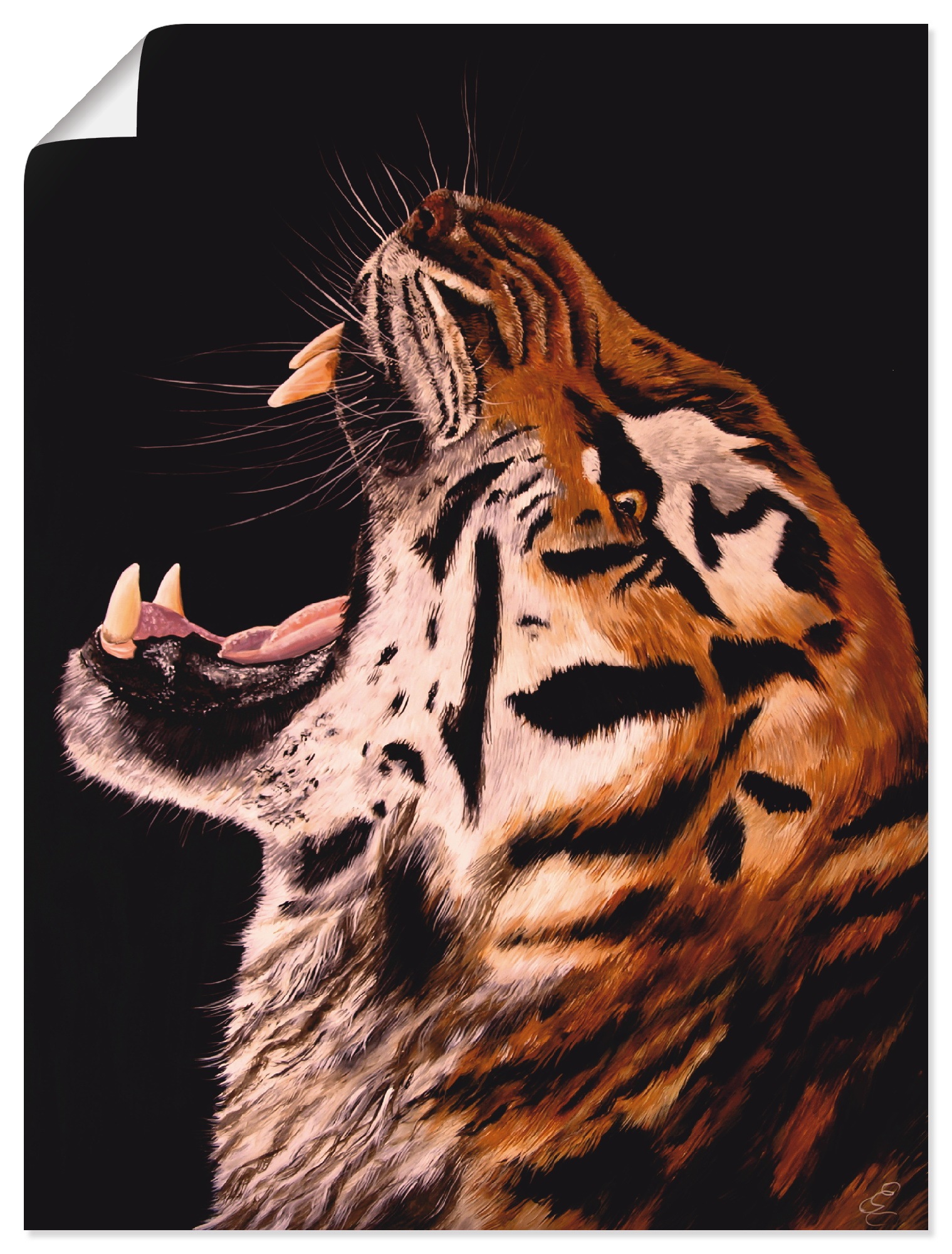 Image of Artland Wandbild »Tiger«, Wildtiere, (1 St.), in vielen Grössen & Produktarten - Alubild / Outdoorbild für den Aussenbereich, Leinwandbild, Poster, Wandaufkleber / Wandtattoo auch für Badezimmer geeignet bei Ackermann Versand Schweiz