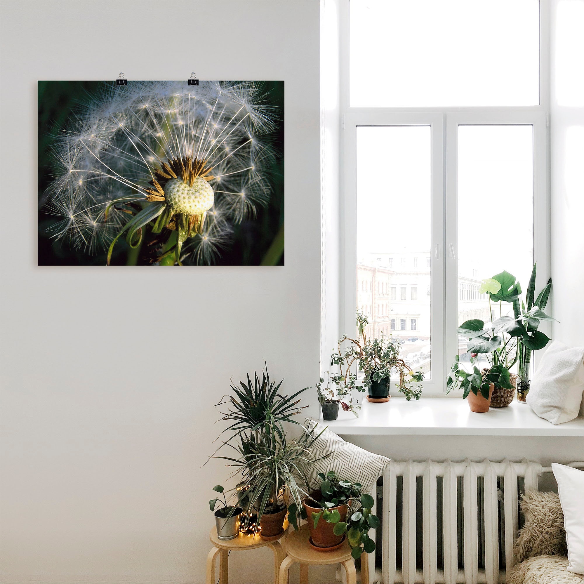 Artland Poster »Pusteblume«, Blumen, (1 St.), als Alubild, Leinwandbild, Wandaufkleber oder Poster in versch. Grössen