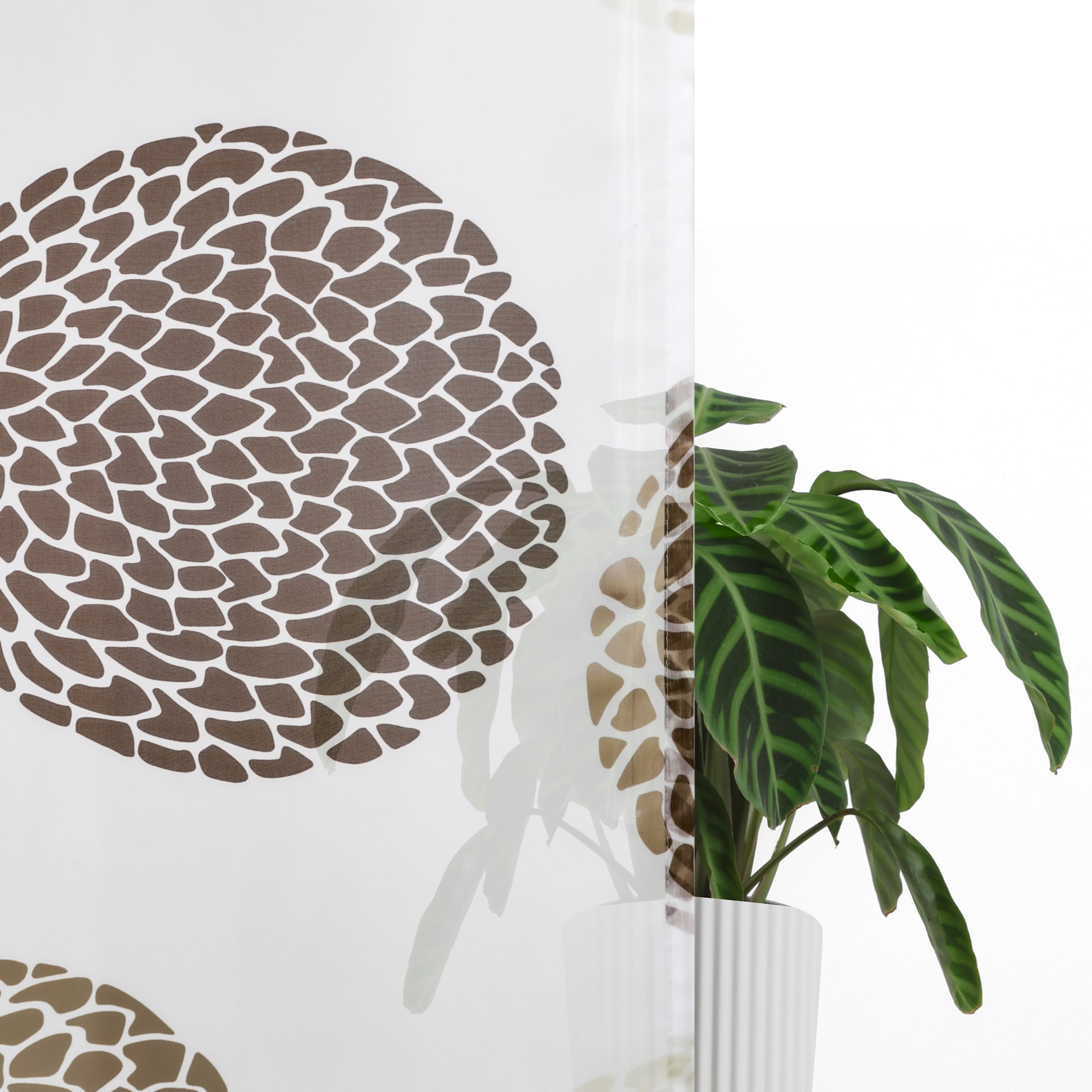 GOODproduct Paroi japonaise »Belem« mit Boucles Transparent, voile, polyester