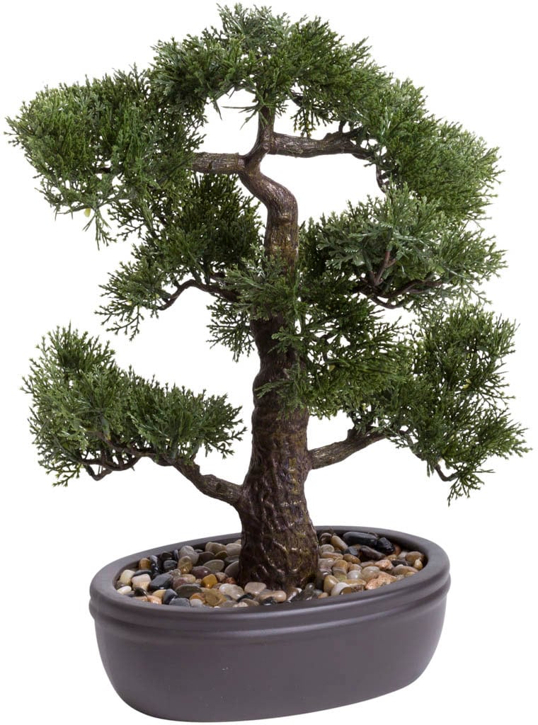 Image of Botanic-Haus Kunstbonsai »Ceder Bonsai«, (1 St.) bei Ackermann Versand Schweiz