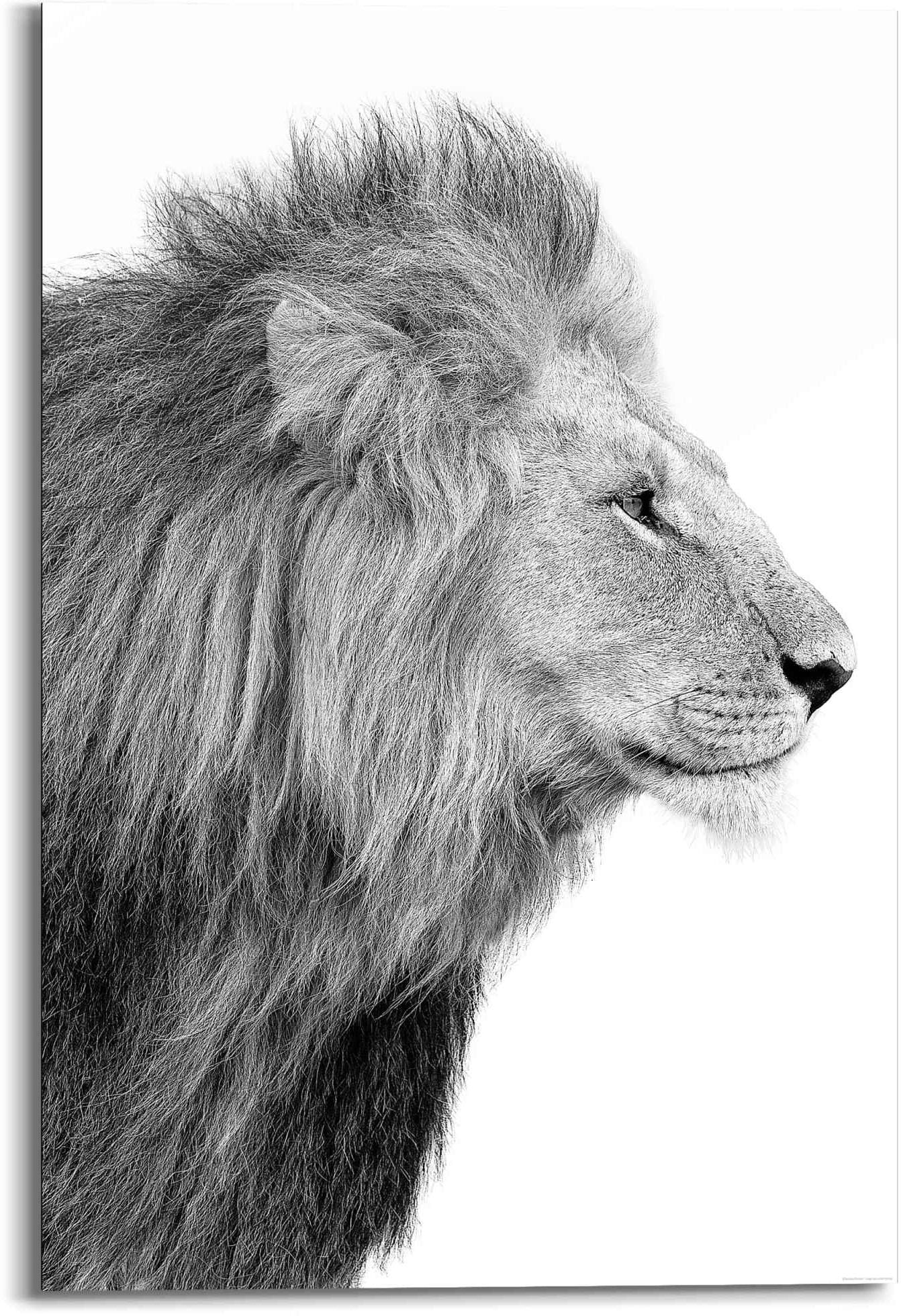♕ Reinders! Wandbild »Wandbild König - Dschungel Kräftig«, Seitenporträt Löwen, - versandkostenfrei (1 auf - St.) Löwe