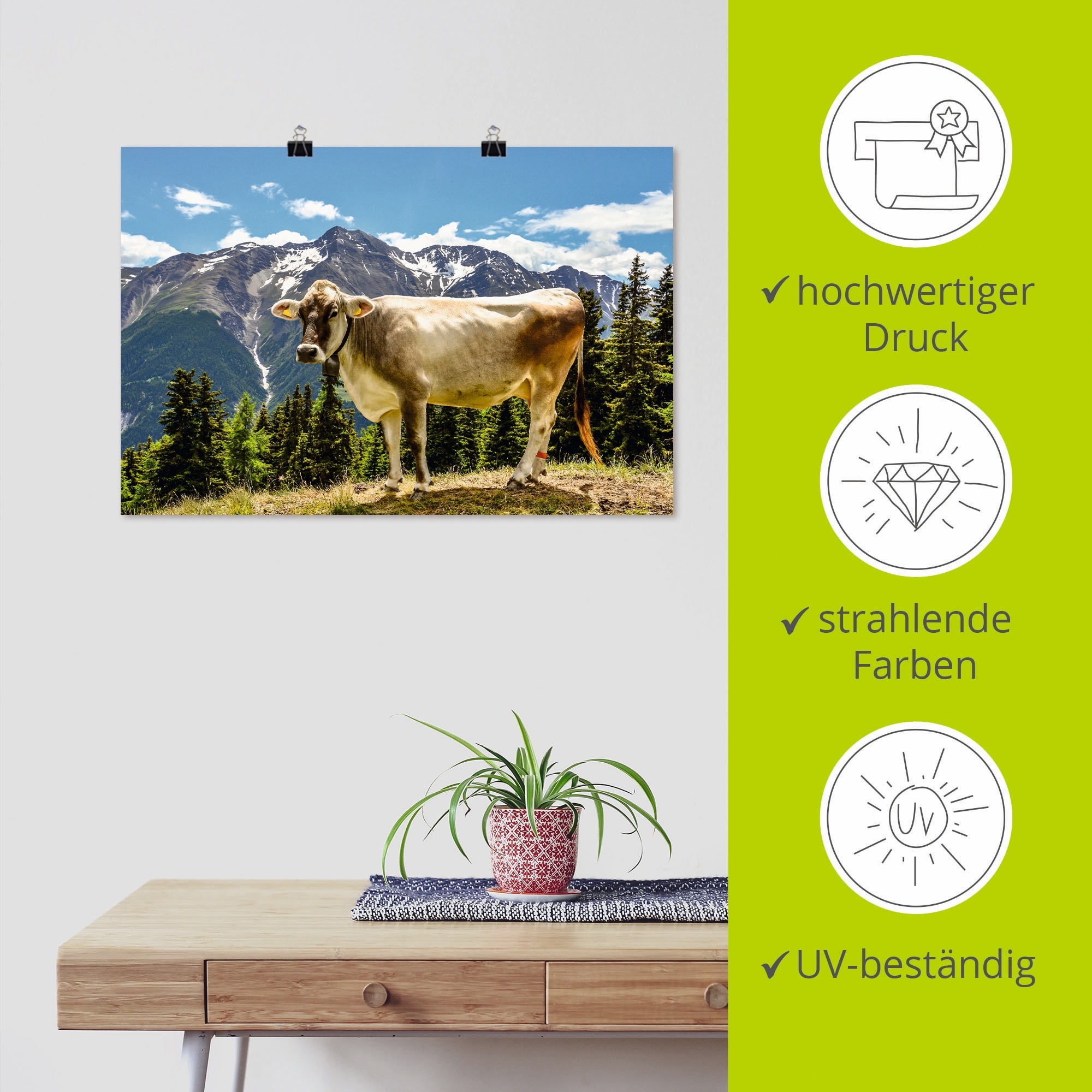 Artland Wandbild »Bergkuh in den Alpen im Sommer«, Haustiere, (1 St.), als Leinwandbild, Poster, Wandaufkleber in verschied. Grössen