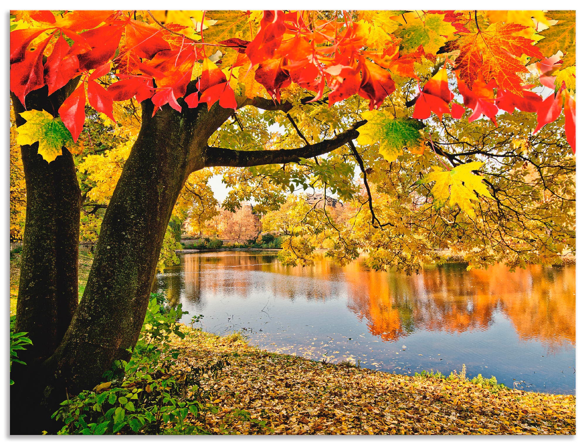 (1 See«, St.), oder versch. Grössen Alubild, Poster Gewässer, an »Herbsttag einem Artland kaufen Wandbild als ruhigen in Leinwandbild, Wandaufkleber