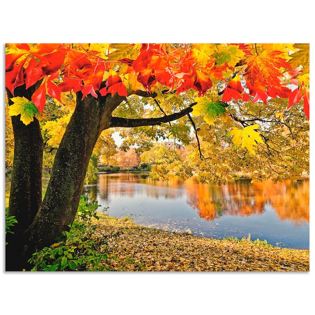 kaufen Gewässer, Leinwandbild, an ruhigen (1 Poster See«, St.), Alubild, versch. oder »Herbsttag als Wandaufkleber Artland Grössen Wandbild einem in
