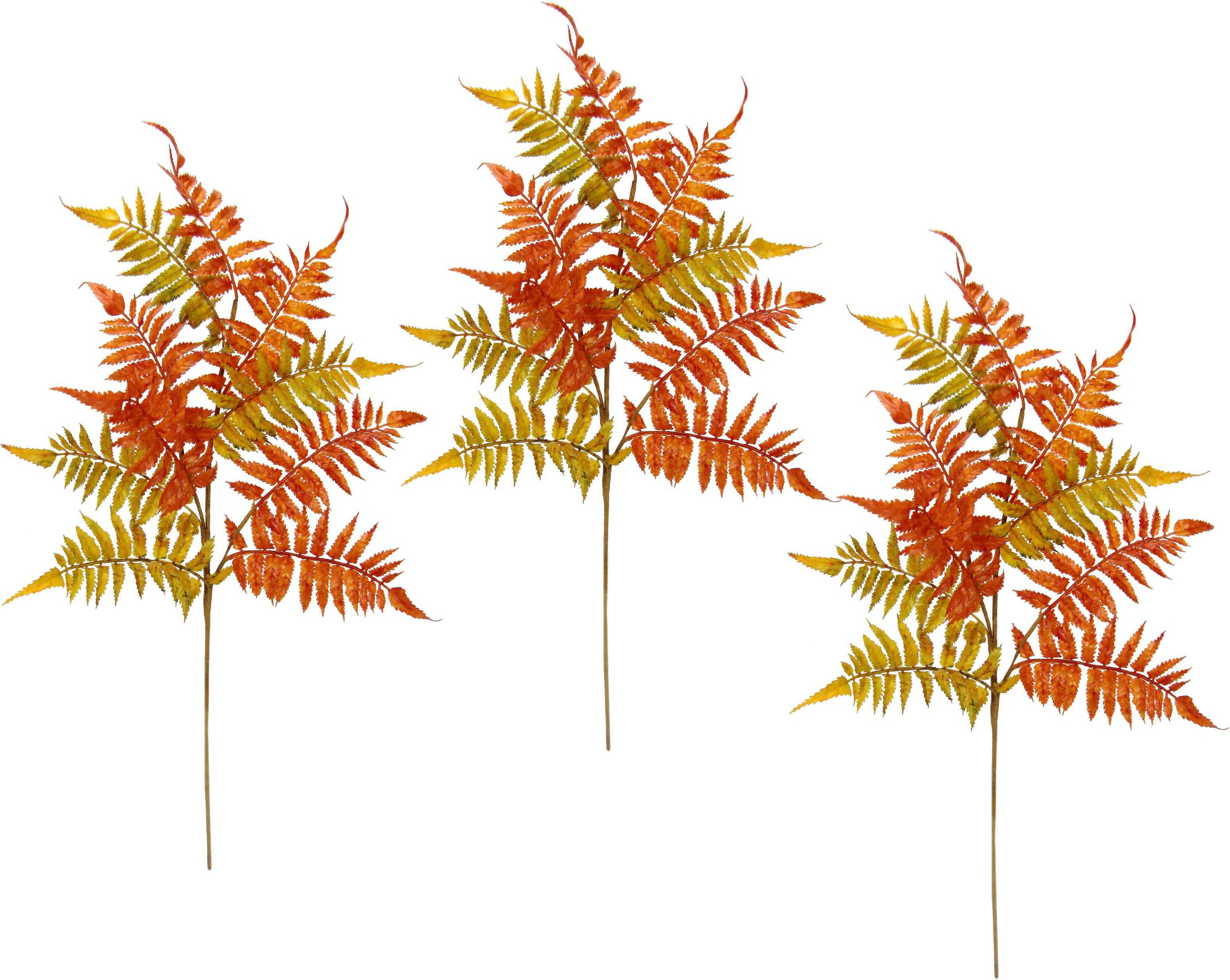 Image of I.GE.A. Kunstzweig »Farn«, (3 St.), Kunstzweig bei Ackermann Versand Schweiz