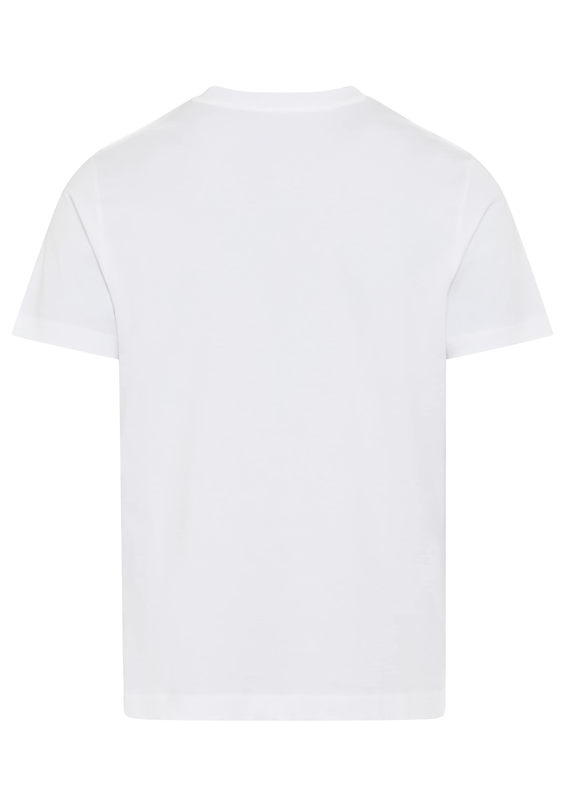 Replay T-Shirt mit Print, Rundhalsausschnitt