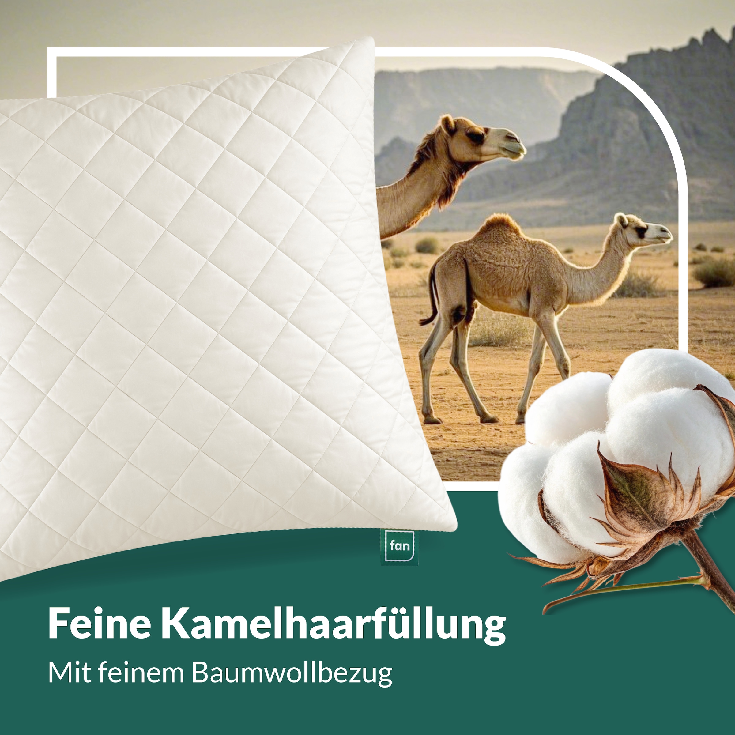 fan Oreiller en fibres naturelles »Gobi, Kopfkissen in 40x80 & 80x80 cm, Made in Germany« Füllung: 97 laine 3 autres fibres 1 cuis tlg. Housse de coussin en coton matelassée avec poil de chameau, rembourrage en laine