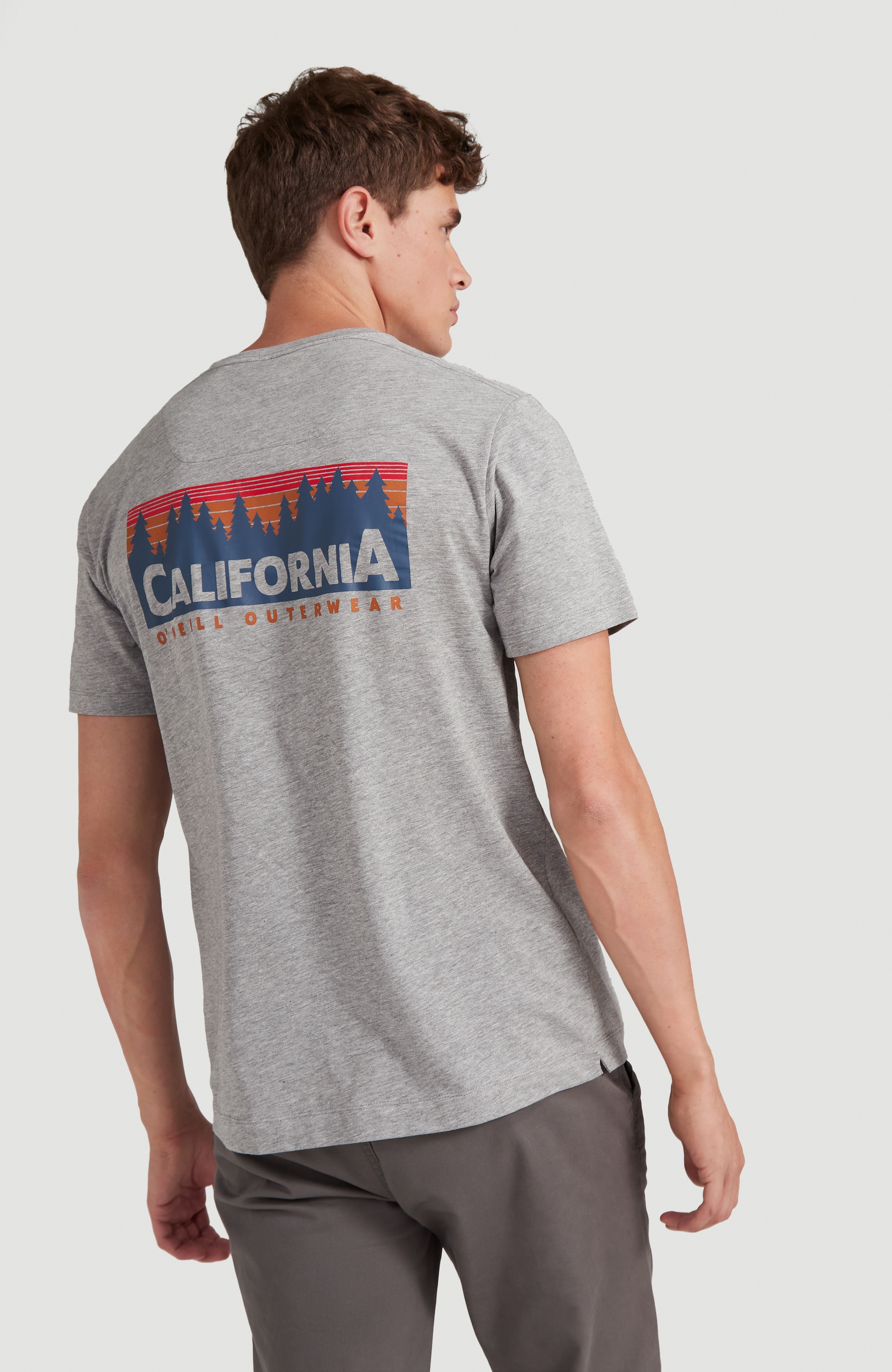 O'Neill T-Shirt »"Rocky Mountains"«