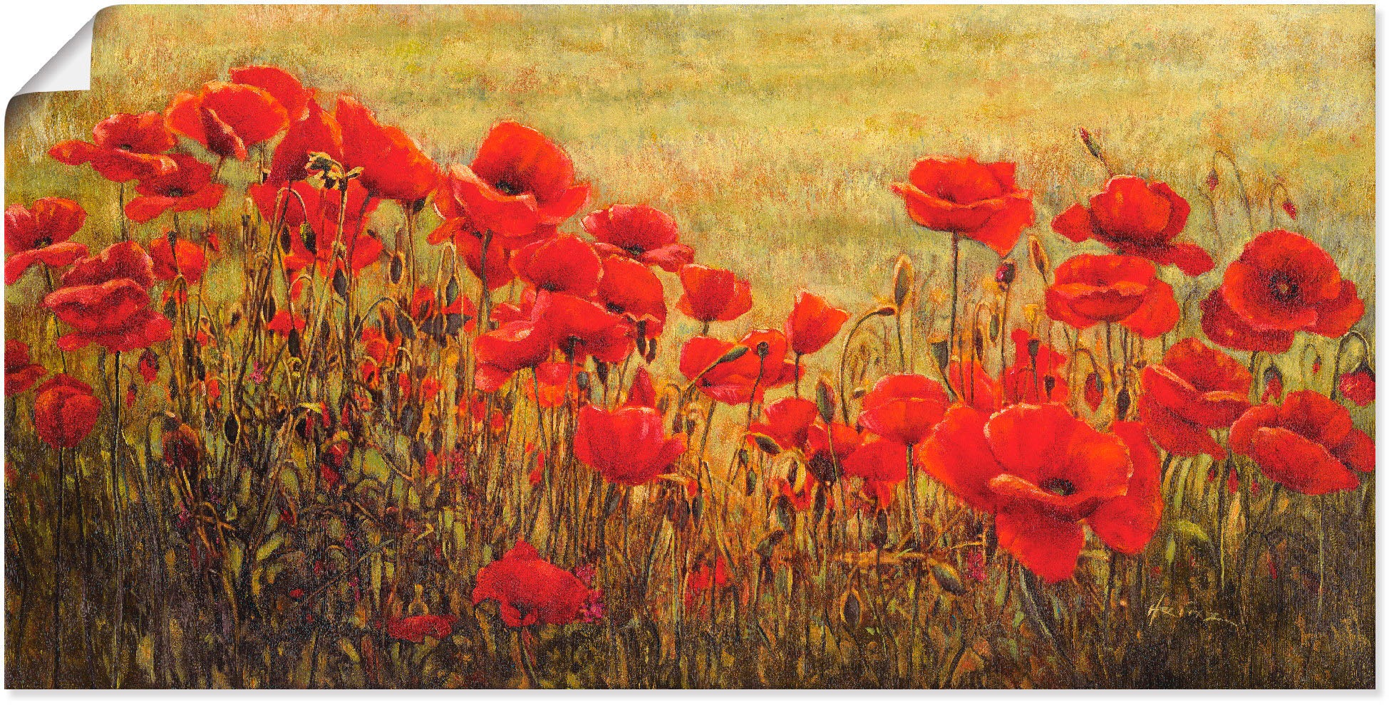 Image of Artland Wandbild »Mohnfeld«, Blumenwiese, (1 St.), in vielen Grössen & Produktarten - Alubild / Outdoorbild für den Aussenbereich, Leinwandbild, Poster, Wandaufkleber / Wandtattoo auch für Badezimmer geeignet bei Ackermann Versand Schweiz