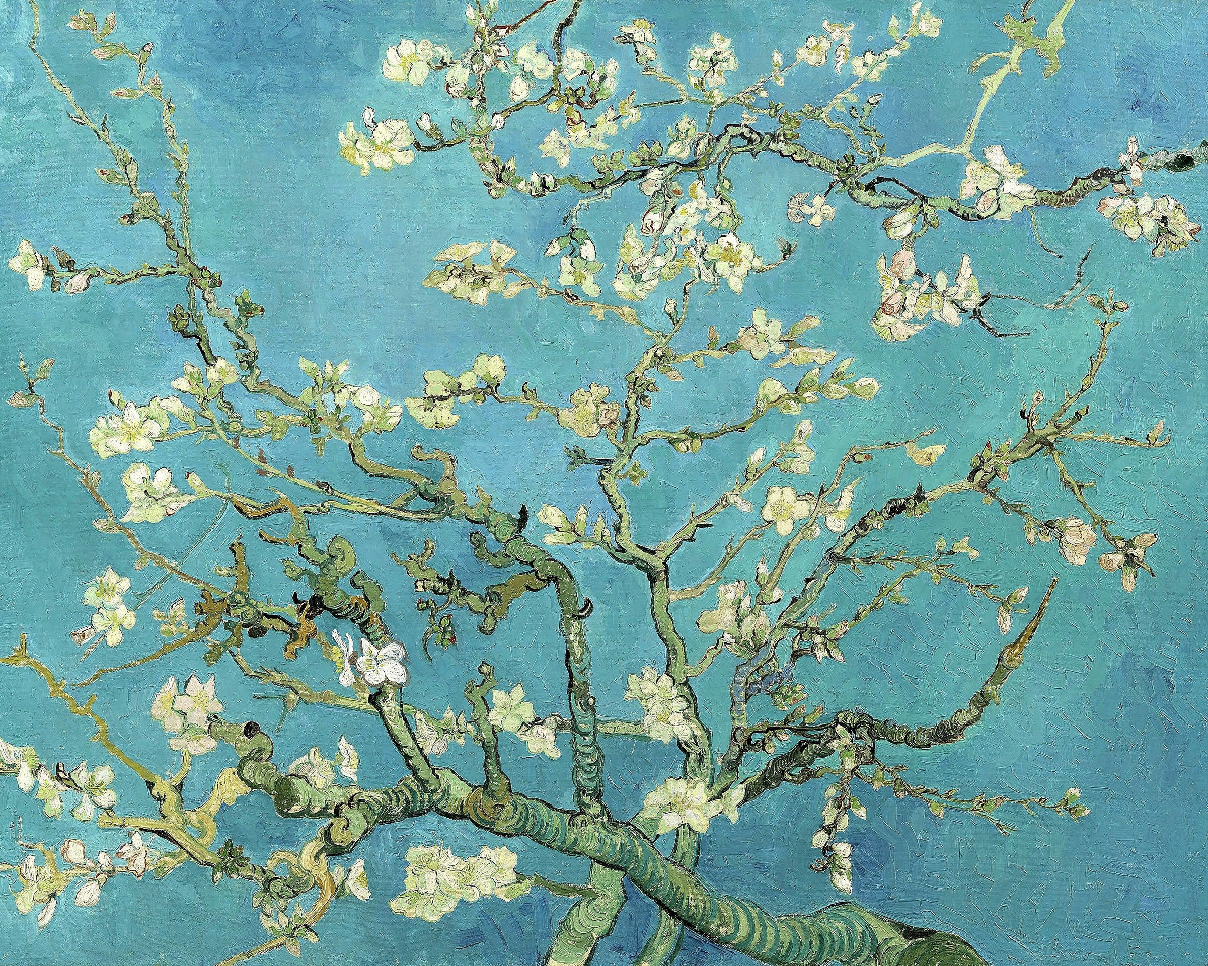 Image of Home affaire Kunstdruck »VINCENT VAN GOGH / Almond Blossoms, 1890«, (auf Leinwand 80/3,5/60 cm) bei Ackermann Versand Schweiz