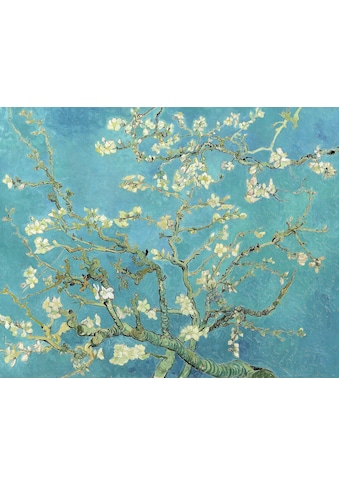 Home affaire Kunstdruck »VINCENT VAN GOGH / Almond Blossoms, 1890«, (auf Leinwand... kaufen