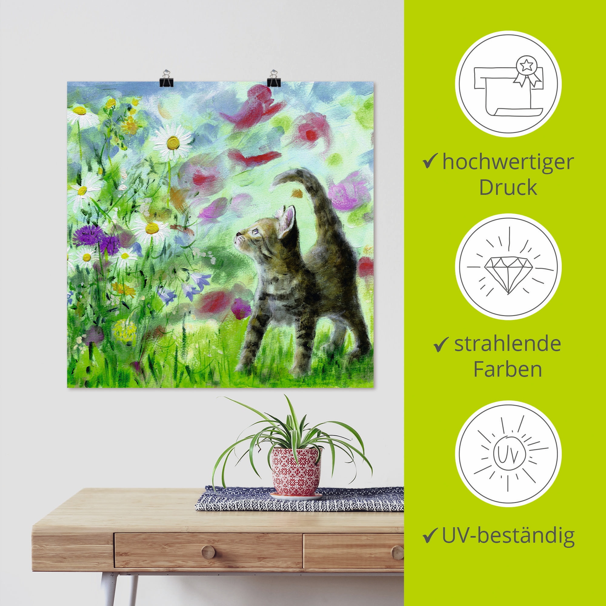 Artland Wandbild »Sommerwiese mit Kätzchen« Haustiere 1 Stk. tlg. als Leinwandbild, Poster in verschied. Grössen