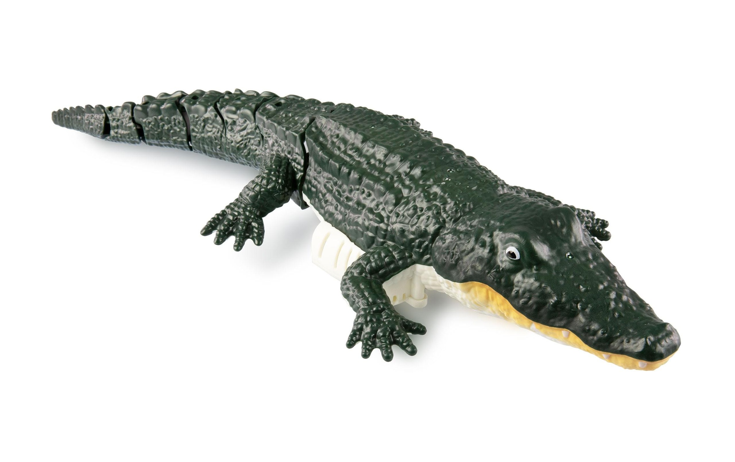 Image of Amewi RC-Tier "Croco das kleine Krokodil 370 mm, 4-Kanal, RTR"