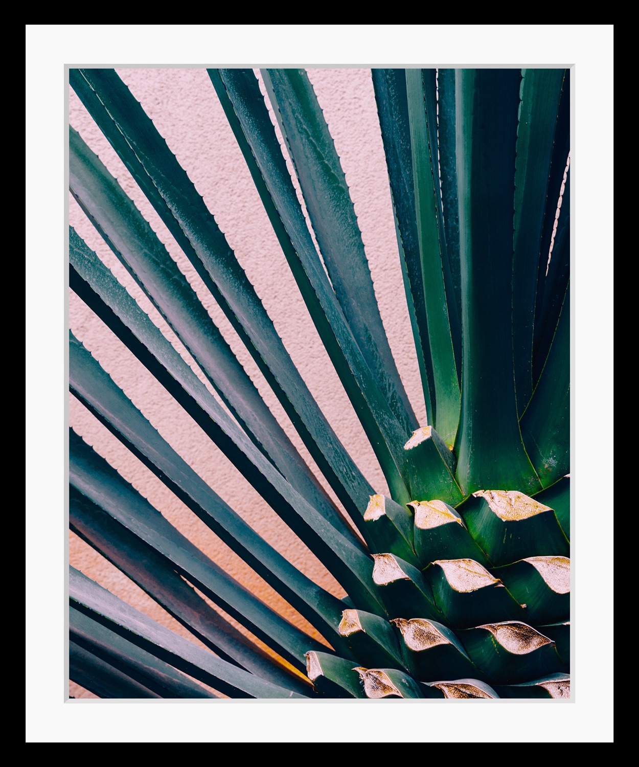 Image of queence Bild Blätter Foto Kunst Palmen Stechpalmen HD Premium Poster-Druck inkl. Holzrahmen