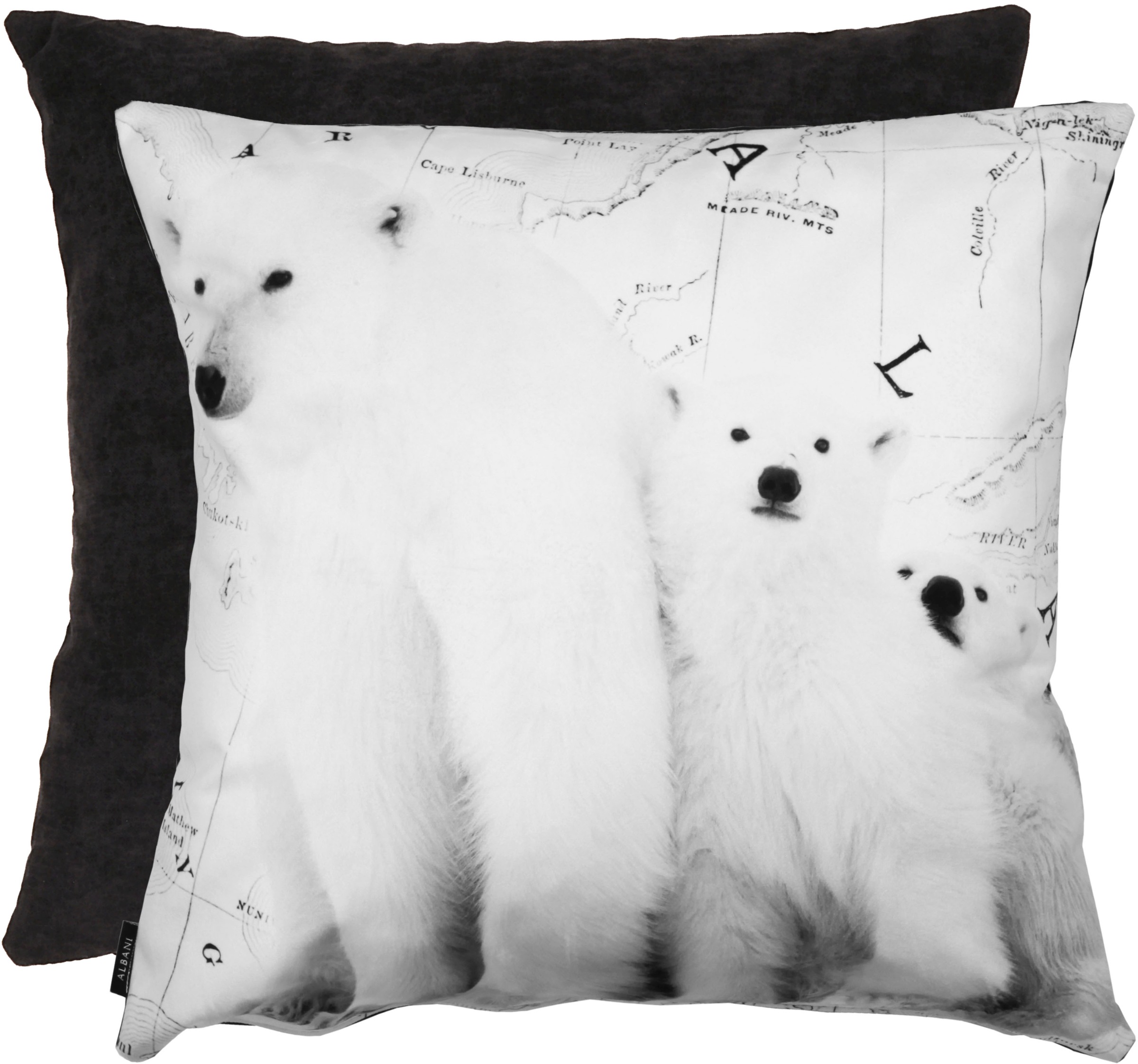 Image of WILLKOMMEN ZUHAUSE by ALBANI GROUP Dekokissen »Eisbär«, (2 St.), Kissenhülle bei Ackermann Versand Schweiz