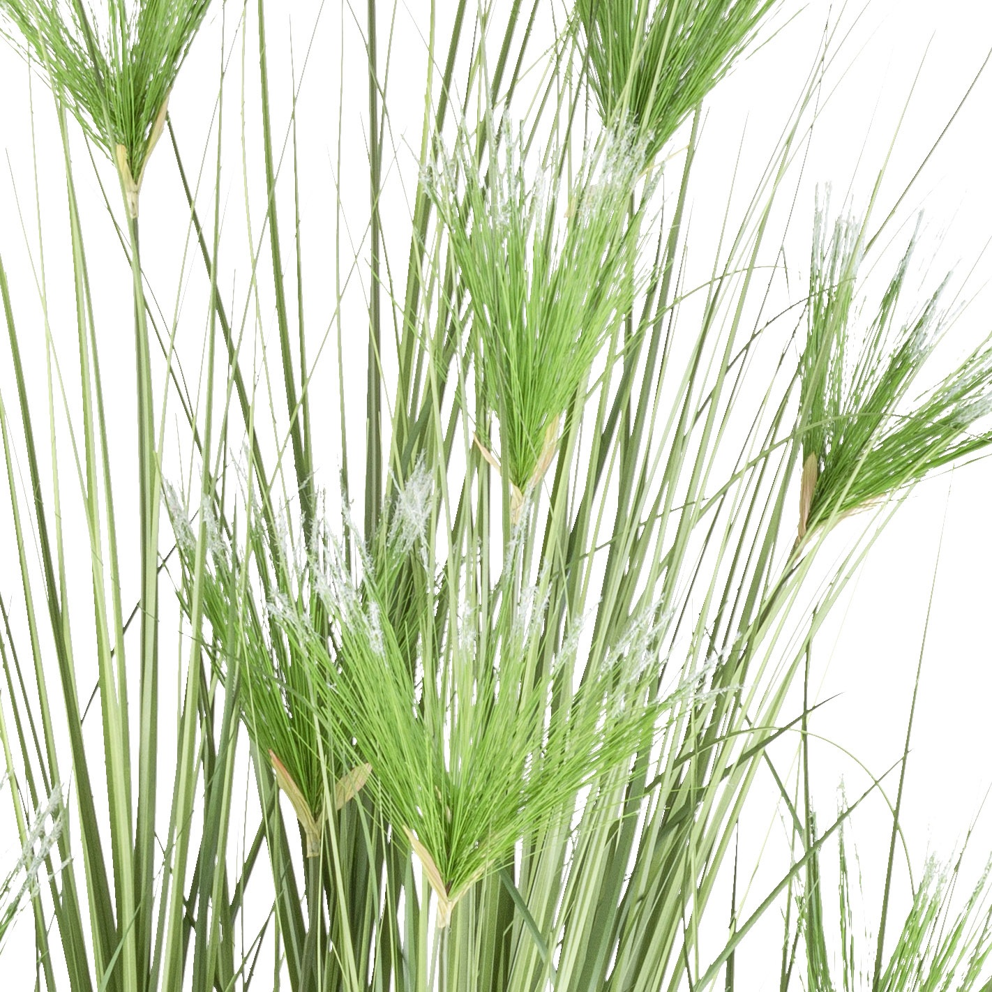 Creativ green Kunstgras »Zyperngras« mit sieben Zyperngrasblüten