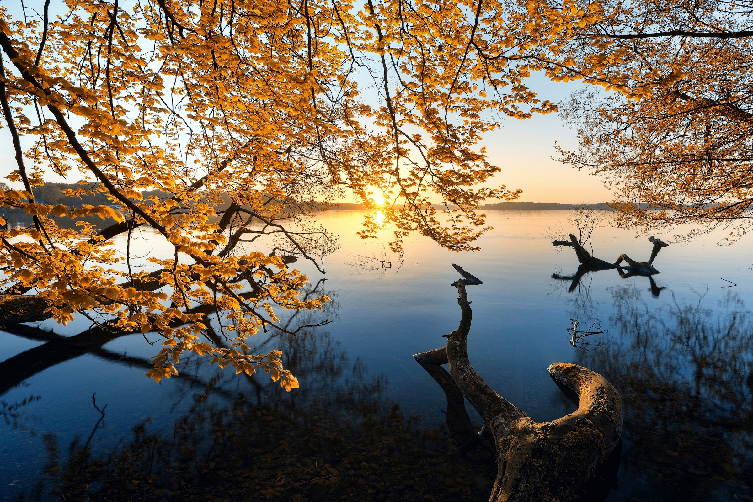 Image of Papermoon Fototapete "Photo-Art KELLER, HERBSTMORGEN"