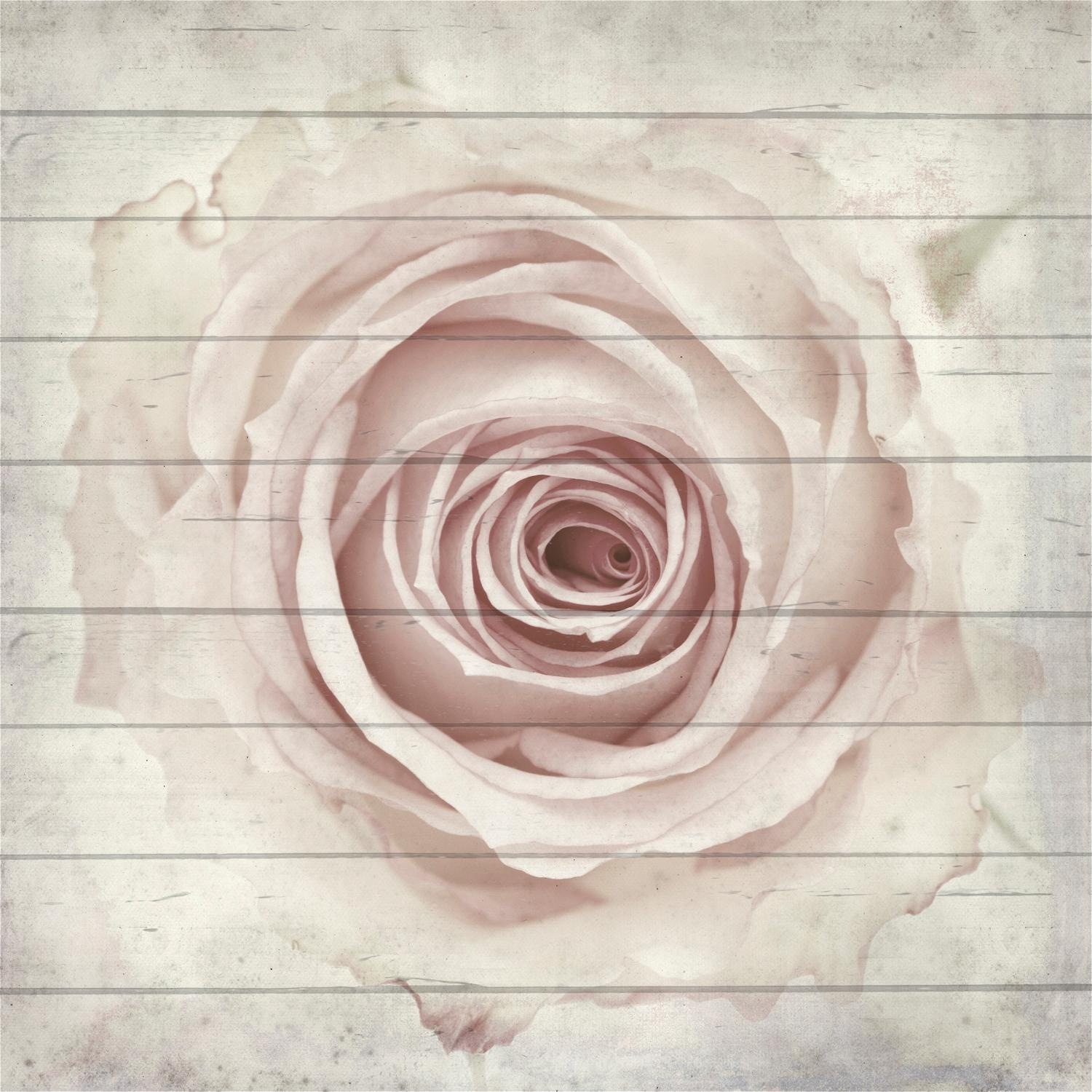 Image of Home affaire Holzbild »Rose von oben«, 40/40 cm bei Ackermann Versand Schweiz