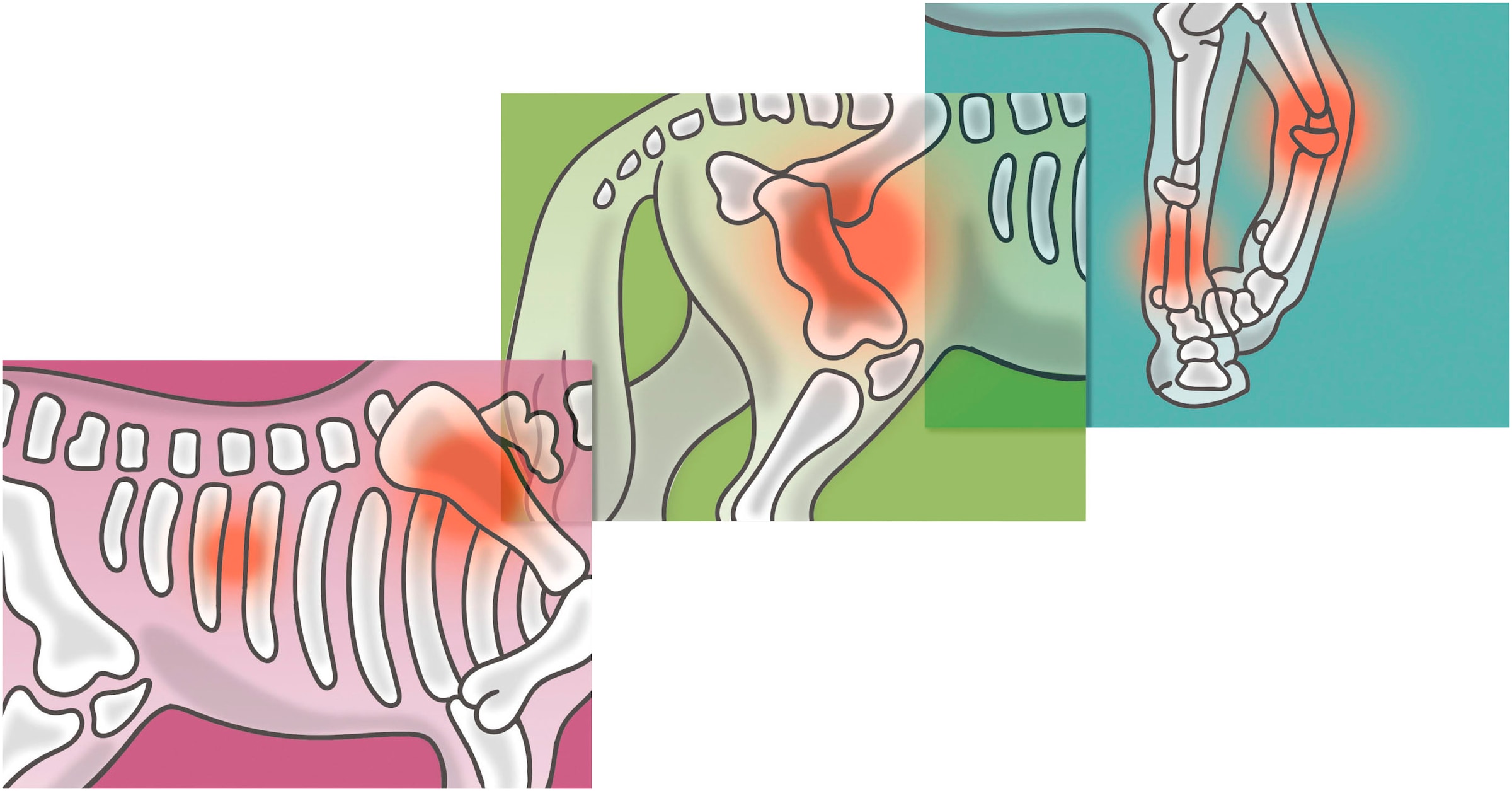 Schleich® Voiture-jouet »HORSE CLUB, Mobile Tierärztin mit Anhänger (42704)« Made in Europe