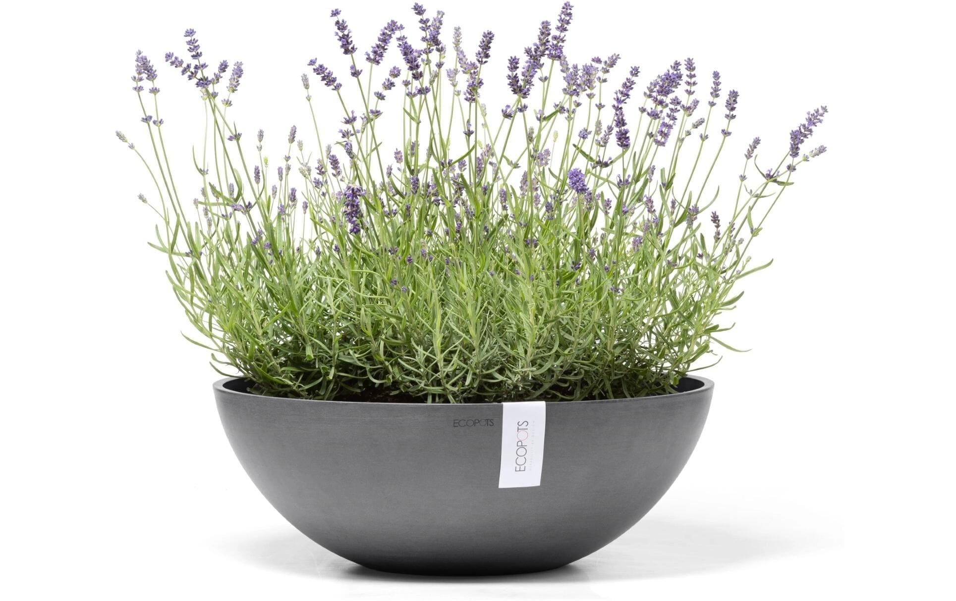   Pot de fleurs »Vienna«