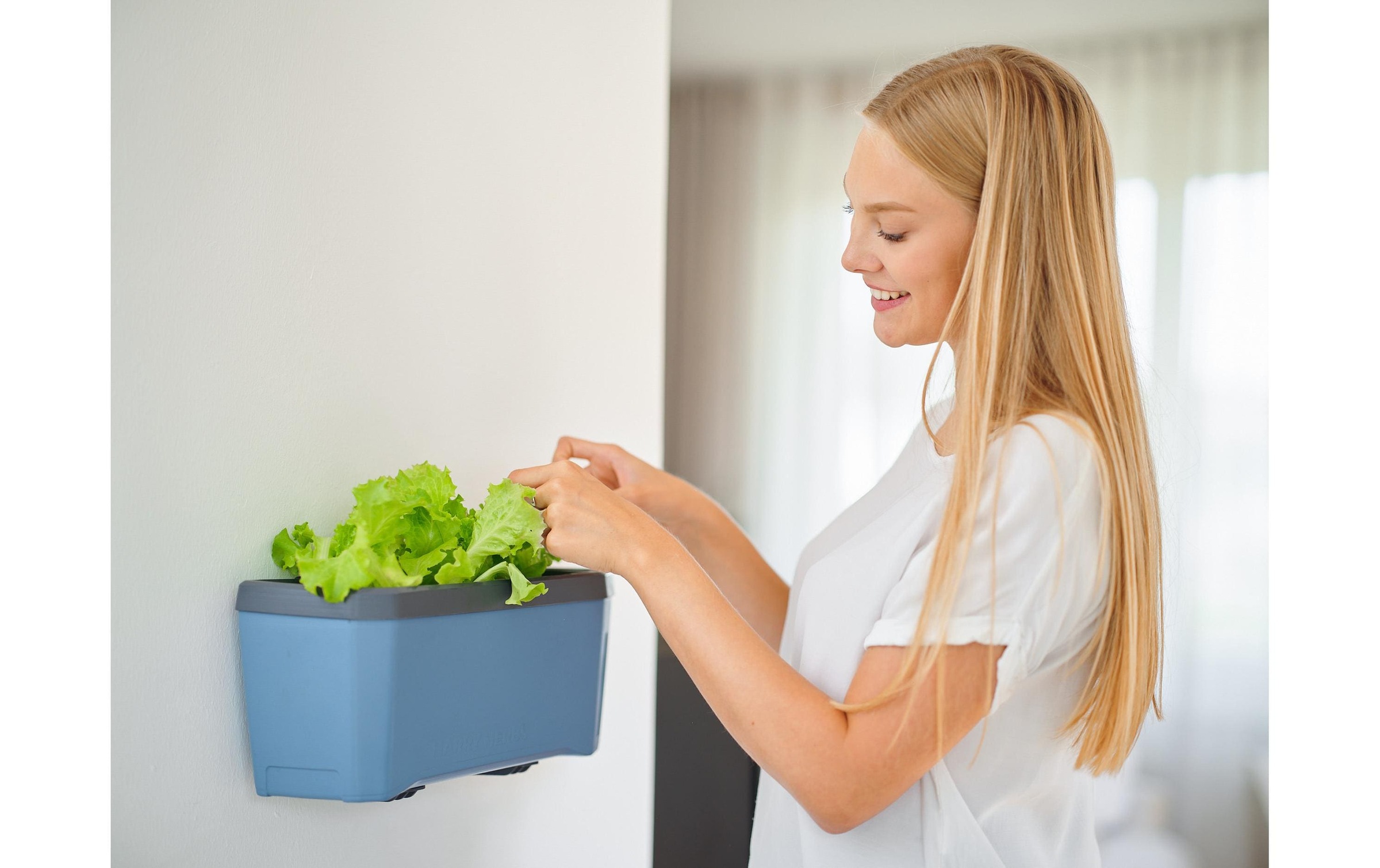 Gusta Garden Kräutertopf »HERBS blau«