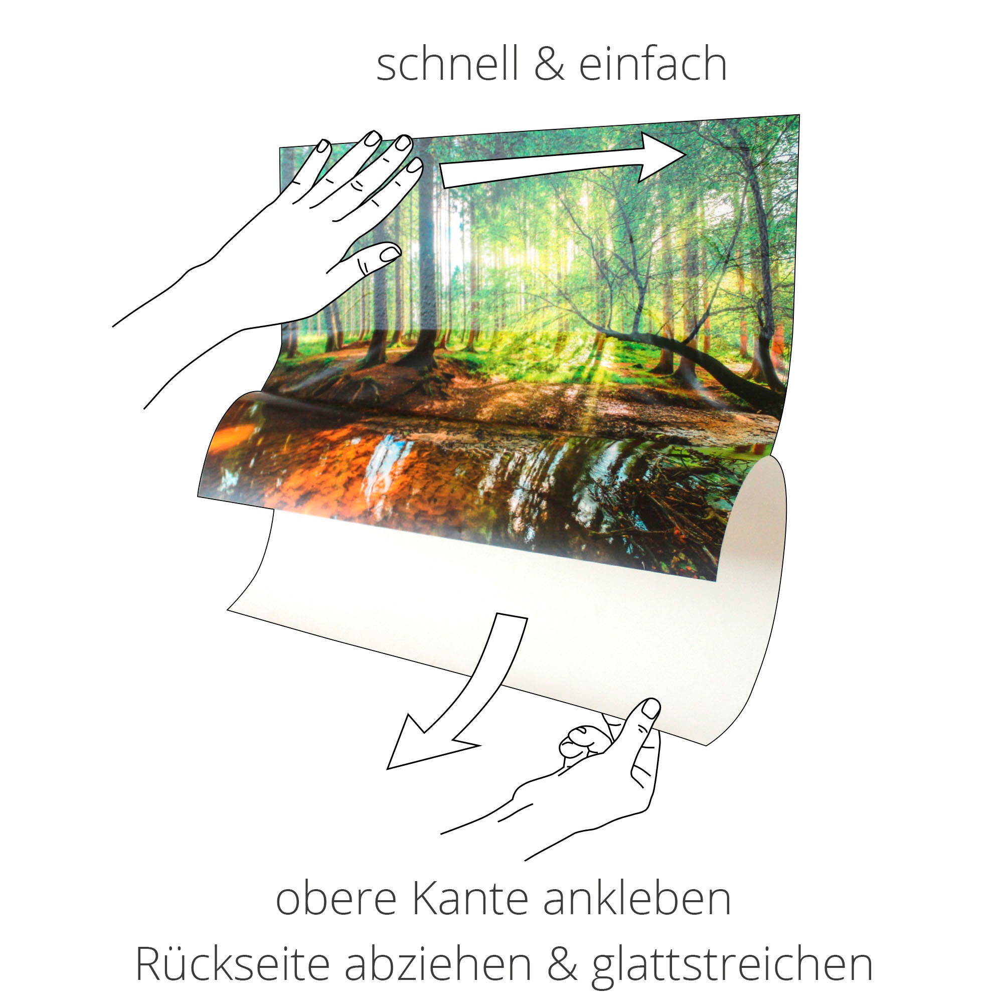Artland Wandbild »Grüne Blätter reflektieren im Wasser«, Blätter, (1 St.),  als Alubild, Leinwandbild, Wandaufkleber oder Poster in versch. Grössen  jetzt kaufen