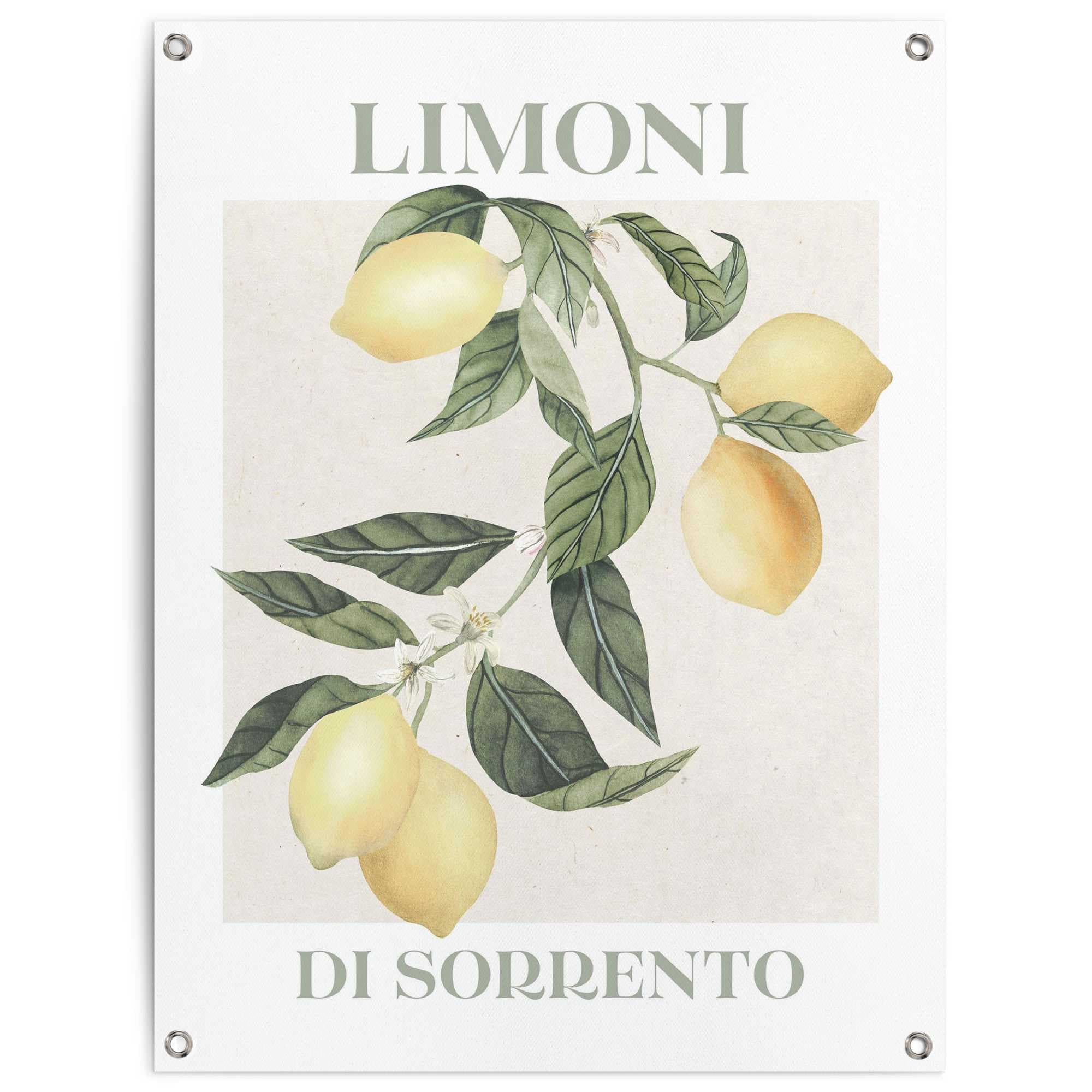 Image of Reinders Poster "Limoni" Garten - Zitrone - Sorrento - Gelb - Leinwand - 60x80 cm