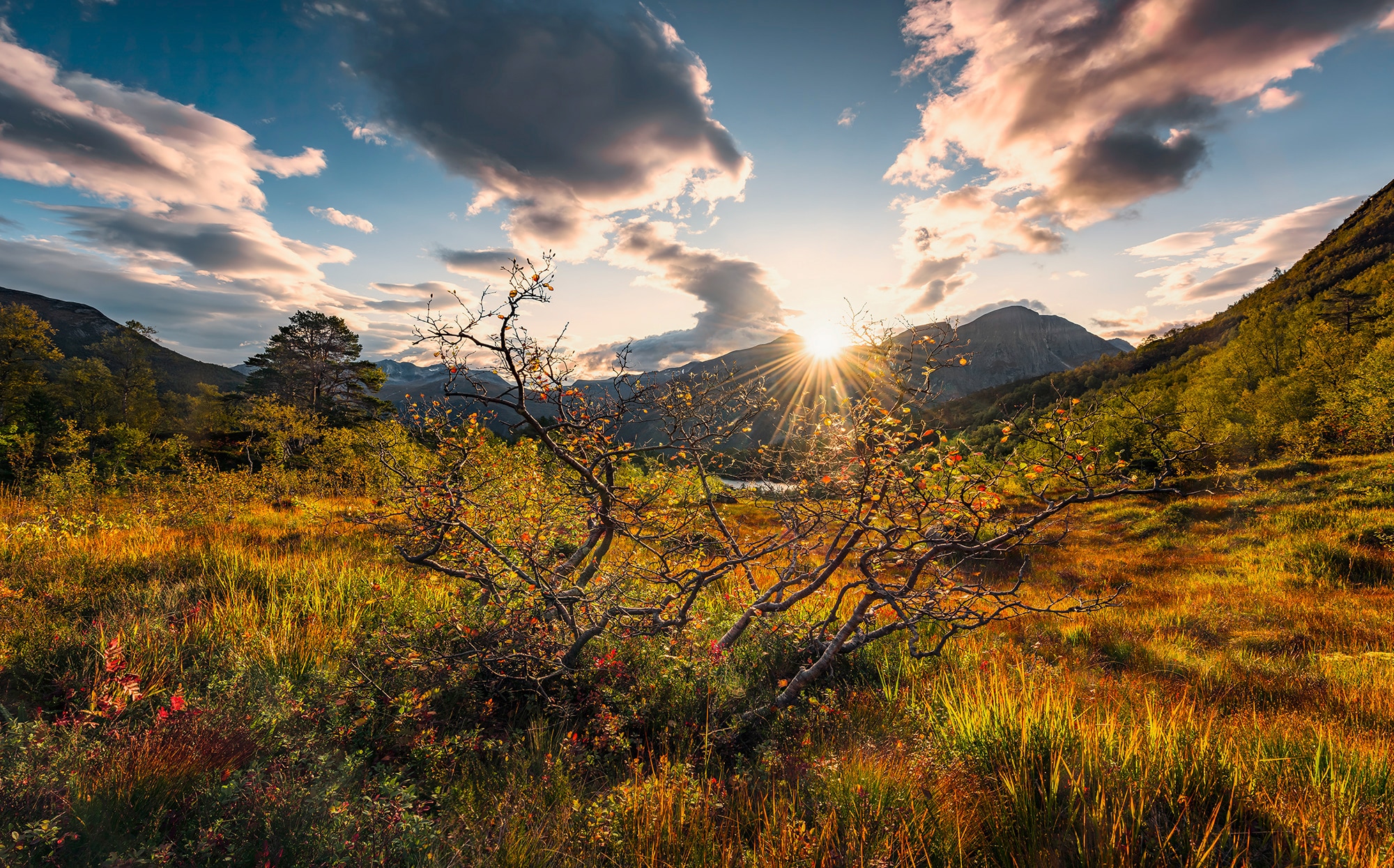 Image of Komar Vliestapete "Digitaldruck Vlies - Norwegische Herbstwelten - Grösse 450 x 280 cm" bedruckt glatt Wohnzimmer, Schlafzimmer