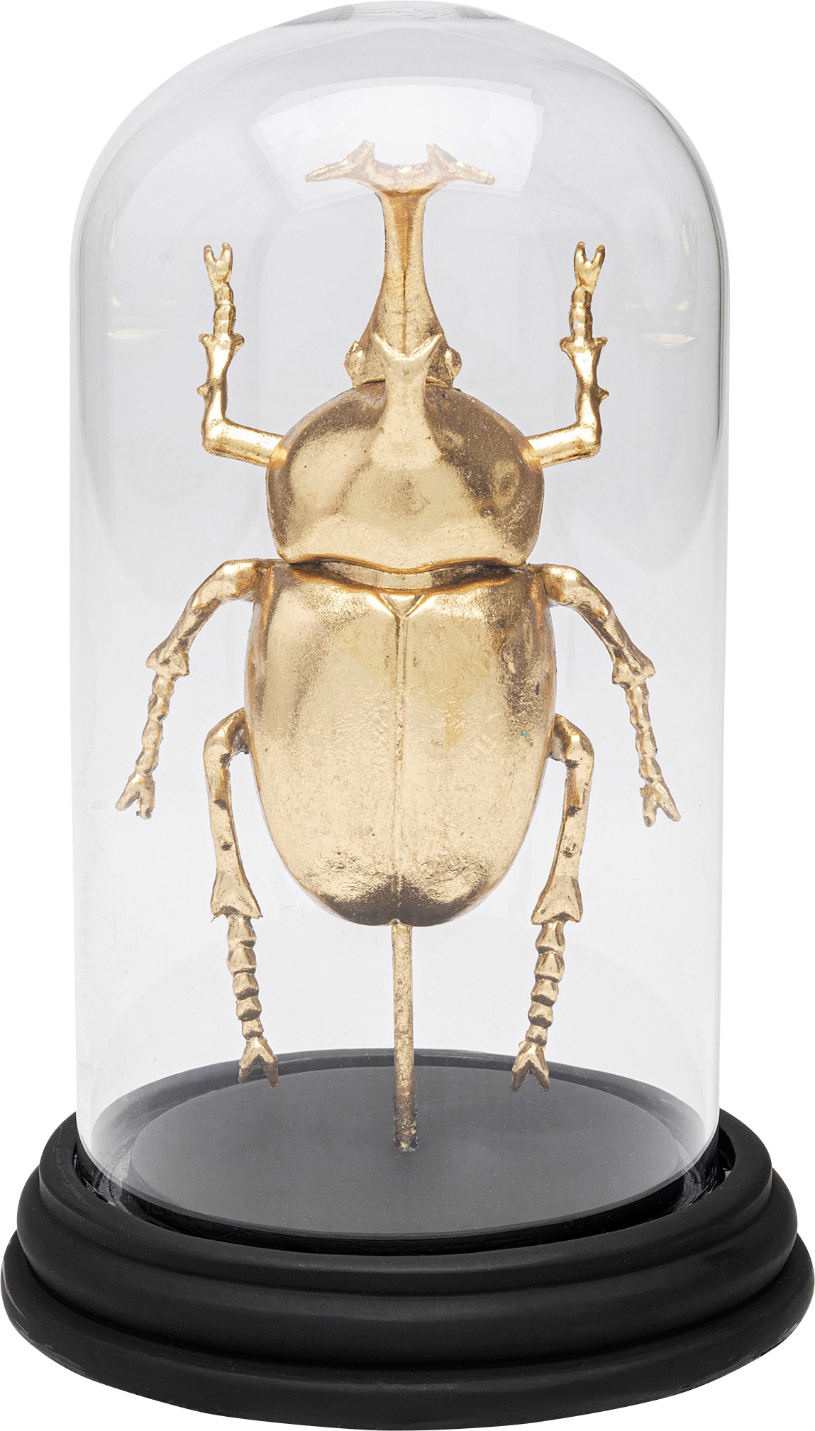 Image of Kare Design Dekoobjekt "Stag Beetle 20cm"