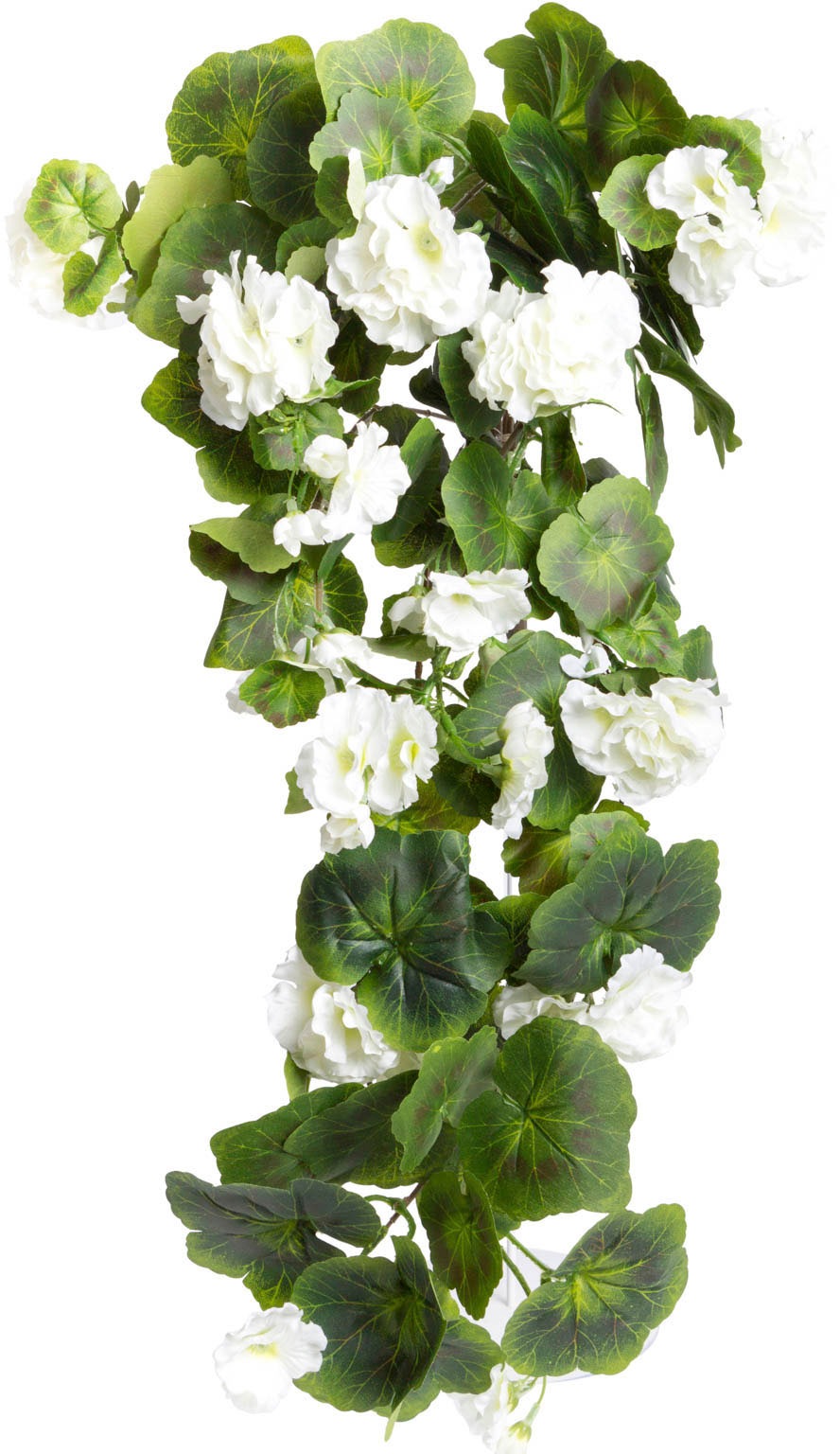 Image of Botanic-Haus Kunstblume »Geranienhängebusch«, (1 St.) bei Ackermann Versand Schweiz