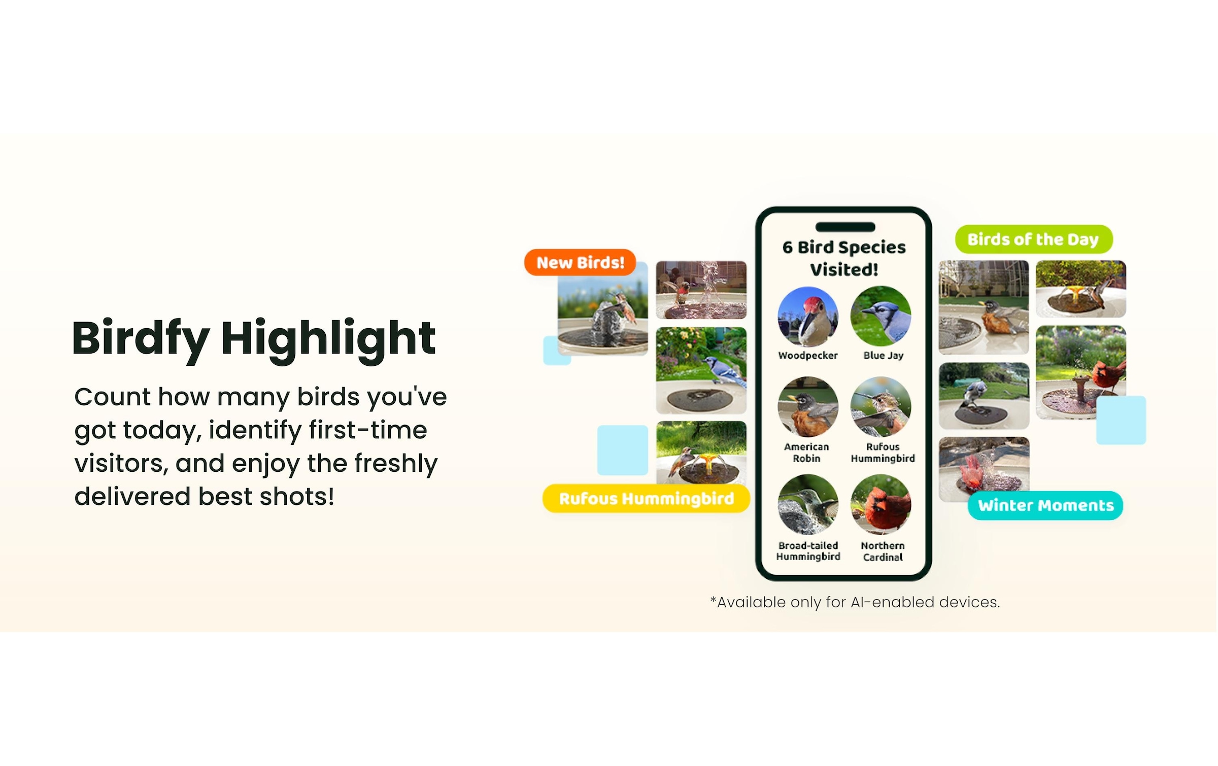 Birdfy Vogeltränke »Vogelbad mit Kamera« Solarbetrieben, KI und Video Vogelerkennung