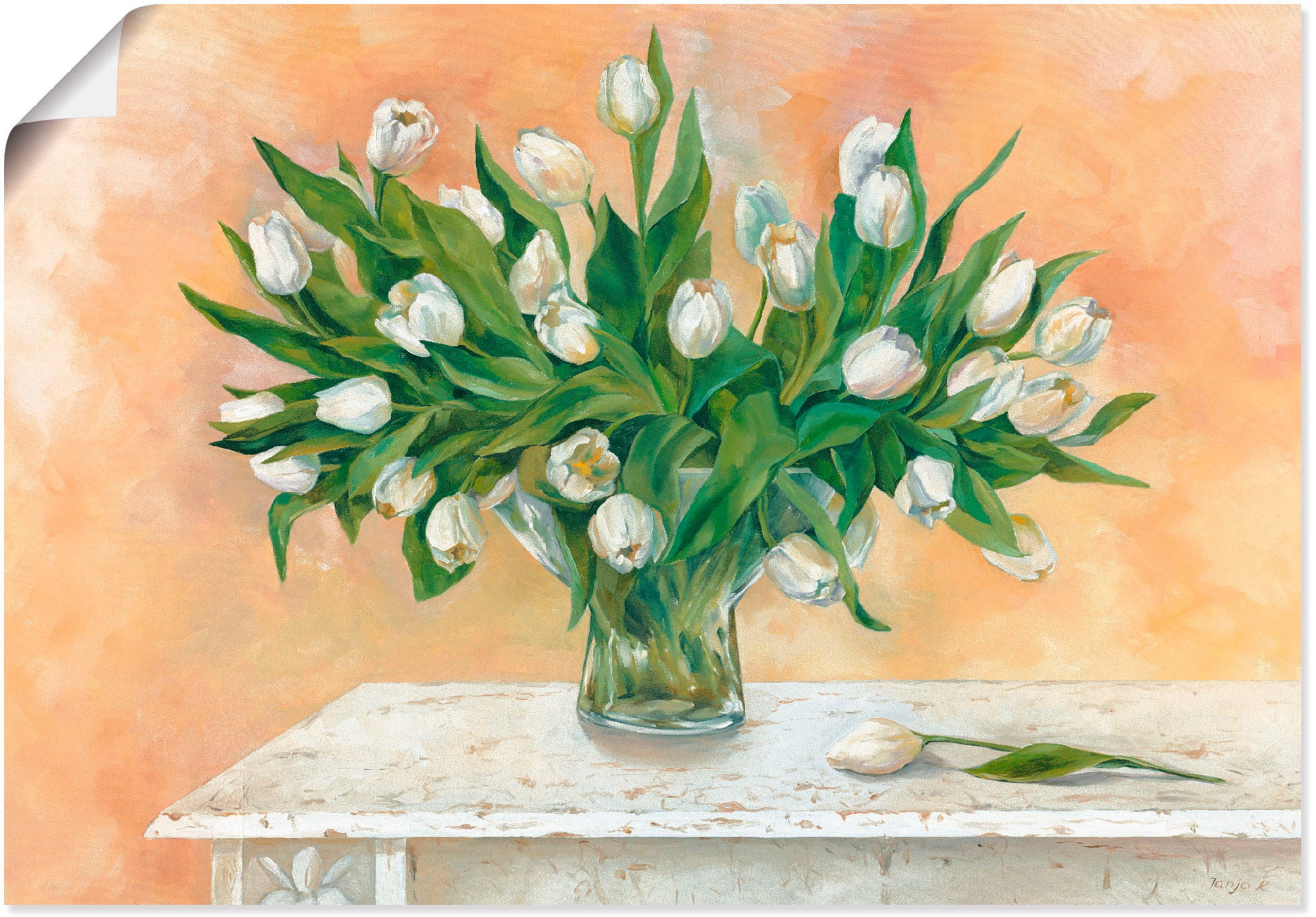 Image of Artland Wandbild »Weisse Tulpen II«, Blumen, (1 St.), in vielen Grössen & Produktarten - Alubild / Outdoorbild für den Aussenbereich, Leinwandbild, Poster, Wandaufkleber / Wandtattoo auch für Badezimmer geeignet bei Ackermann Versand Schweiz