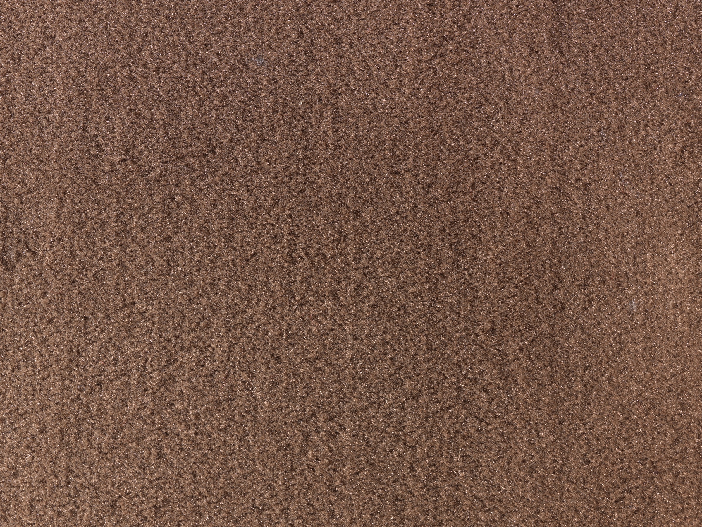 Image of Andiamo Teppichboden »Kira 400«, rechteckig, 8 mm Höhe, Meterware, Breite 400 cm, Velours, Uni Farben, schallschluckend, Wohnzimmer bei Ackermann Versand Schweiz