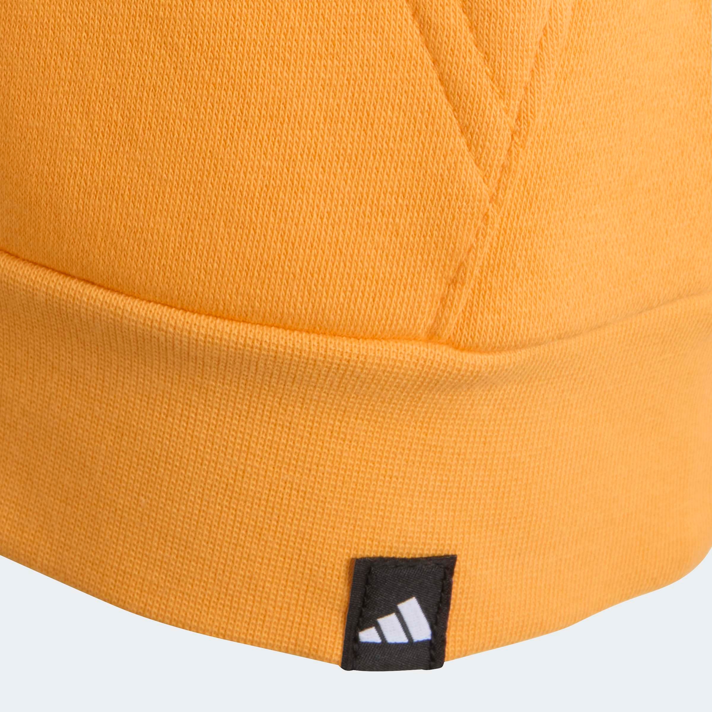 adidas TERREX Sweat à capuche »K MT LOGO HD«
