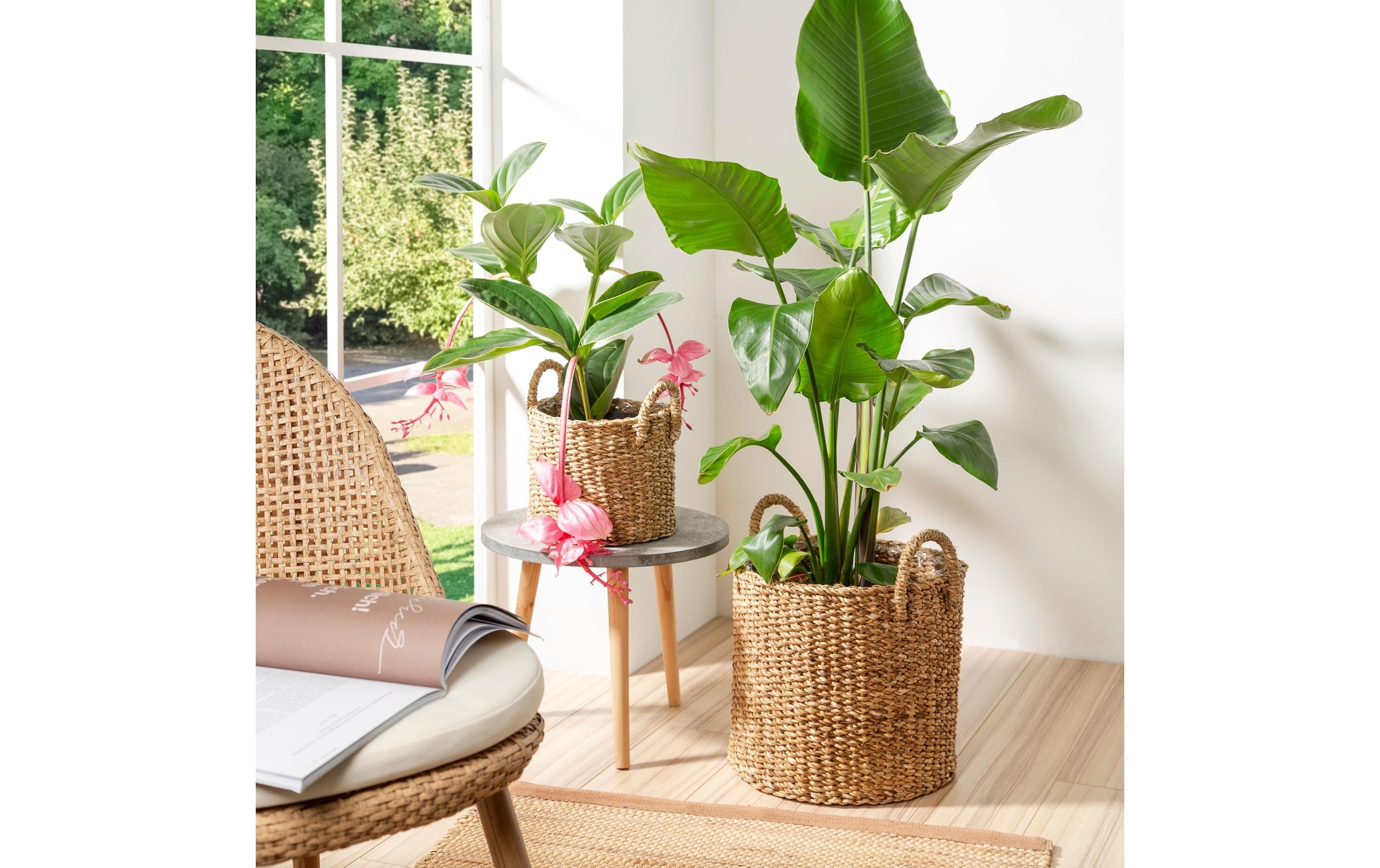 Scheurich Blumentopf »scheurich«