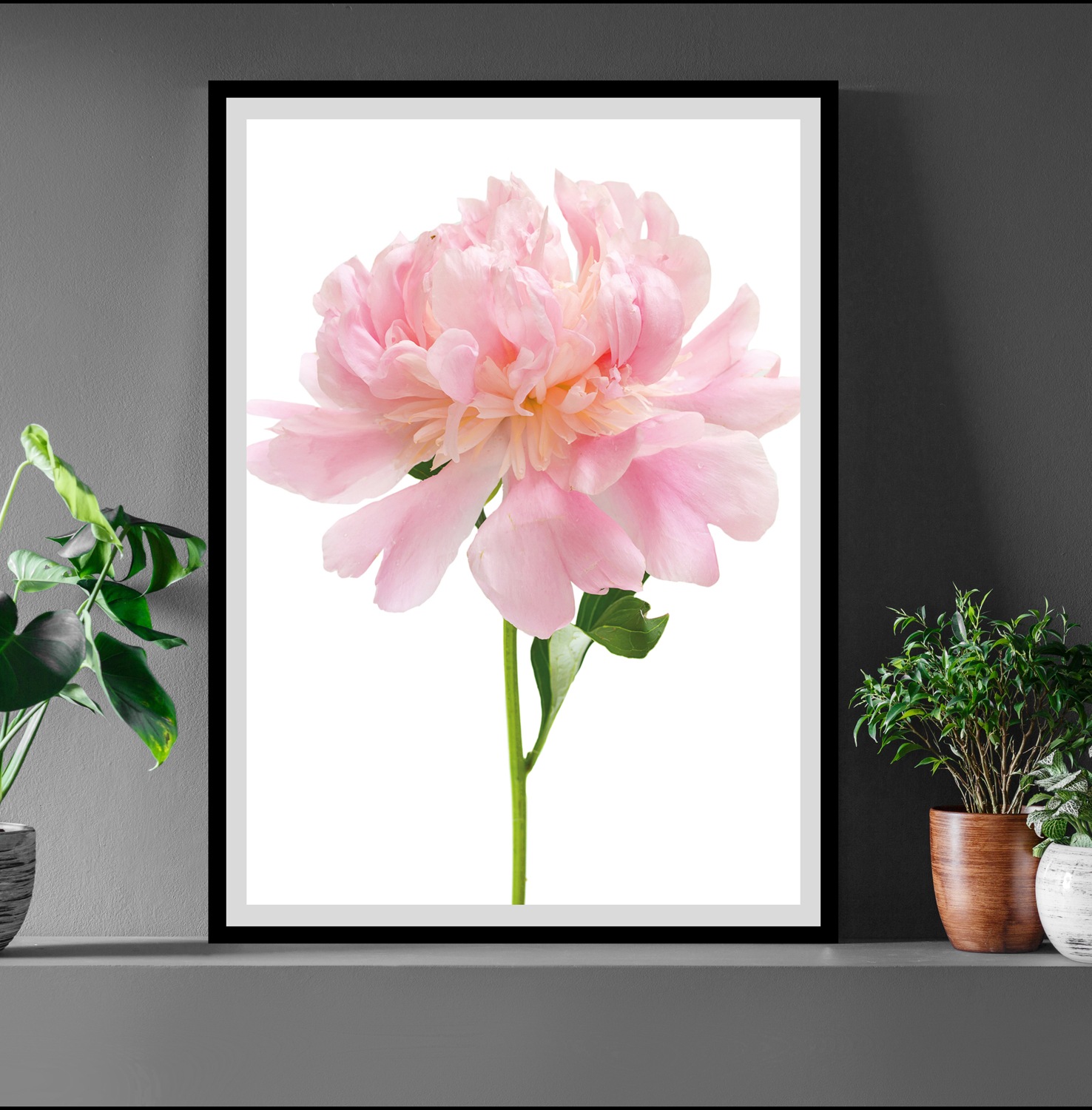 Image of queence Bild "Beate" Blumen Blumenbilder Blätter Foto Kunst Rosen, gerahmt