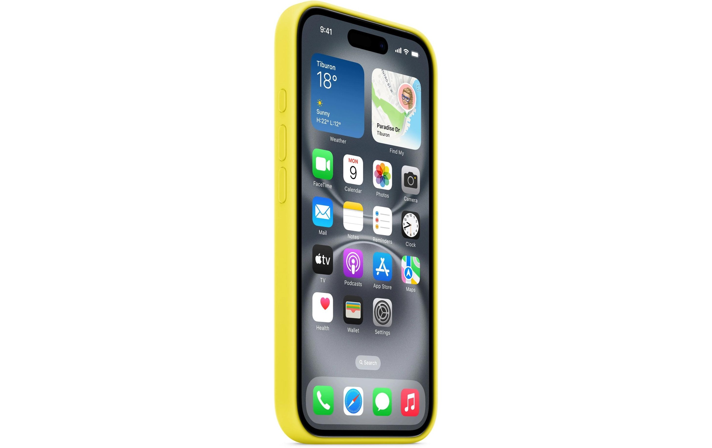 Apple Smartphone Silikon Case mit MagSafe, iPhone 16, Sternfrucht