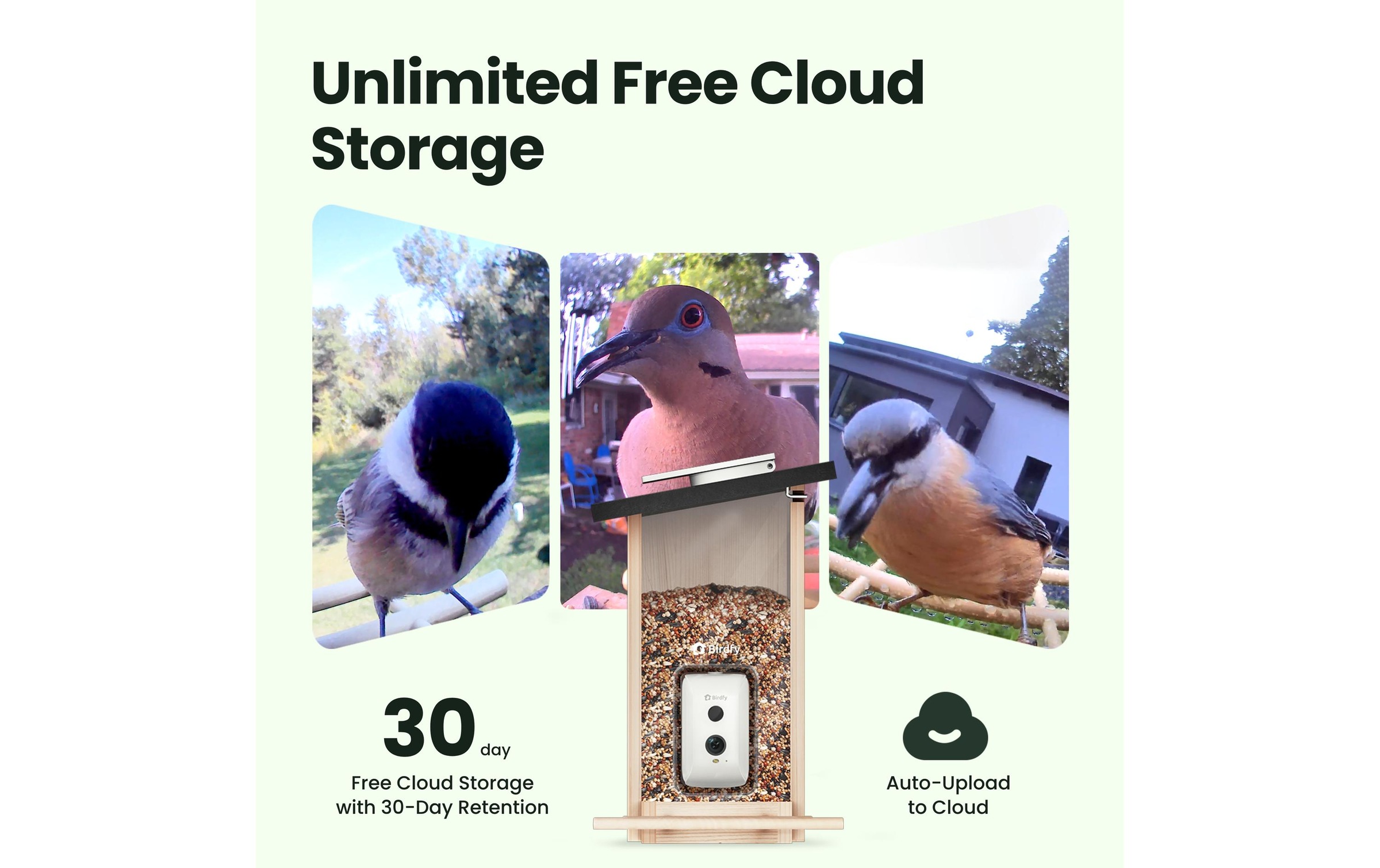 Birdfy Distributeur de nourriture »mit AI-Kamera«
