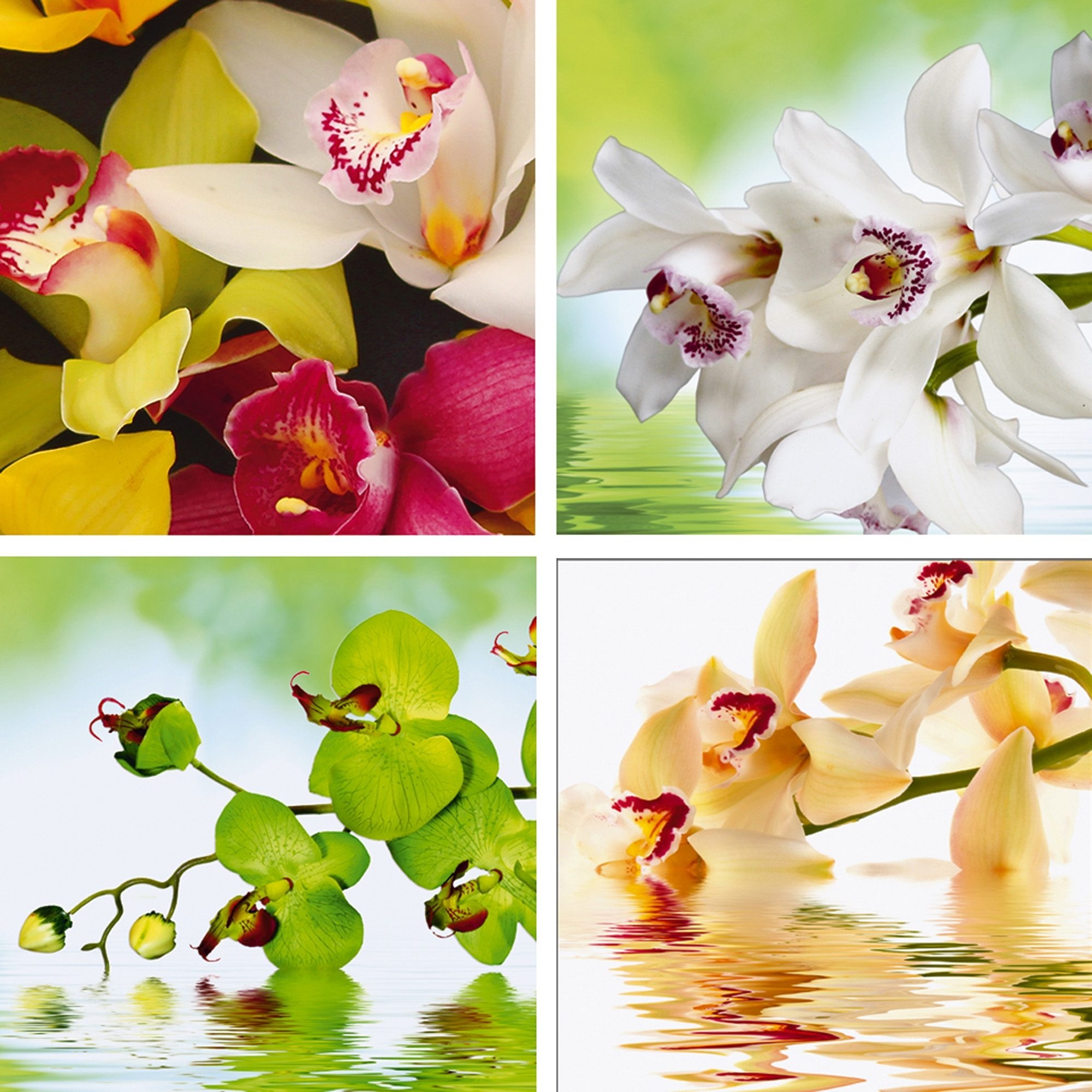 Image of Home affaire Leinwandbild »Meer von Orchideen«, (Set), 4x 30/30 cm bei Ackermann Versand Schweiz