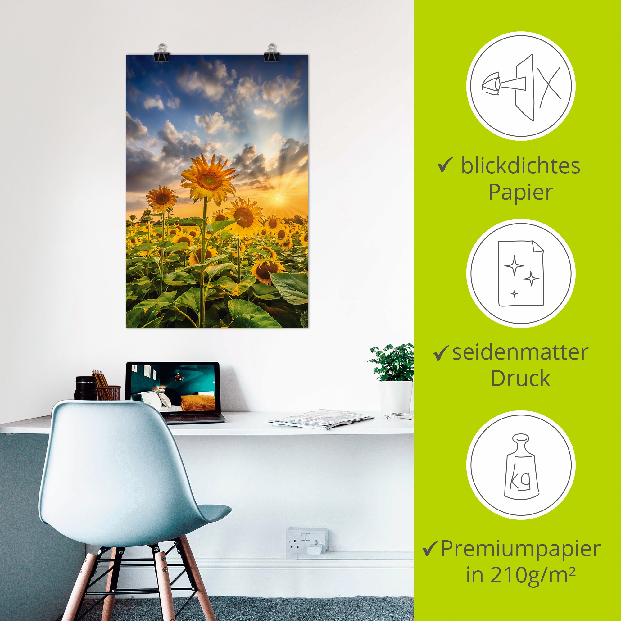 Artland Wandbild »Sonnenblumen im Sonnenuntergang«, Blumenbilder, (1 St.), als Leinwandbild, Poster in verschied. Grössen