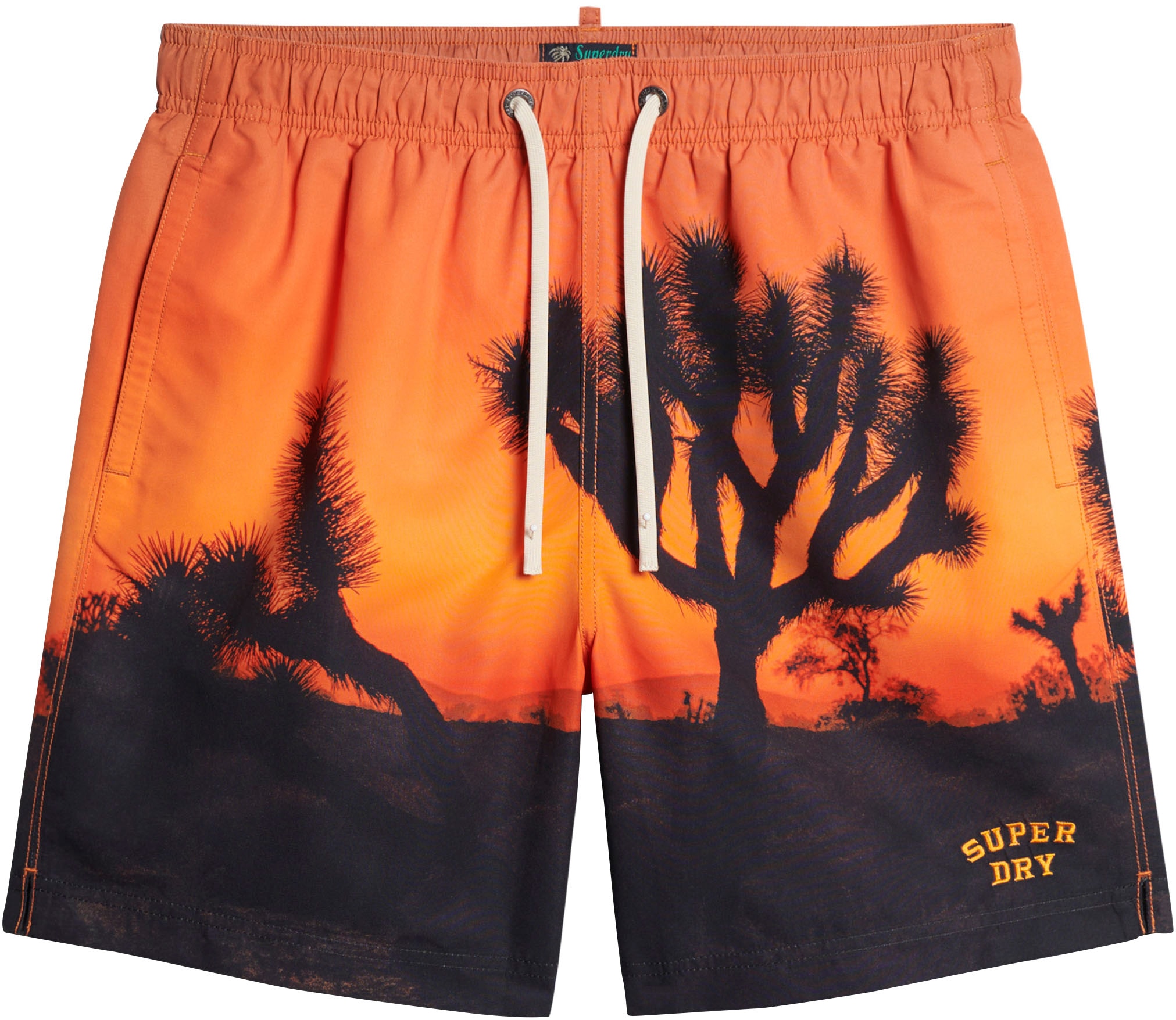 Superdry Badeshorts »SD-PHOTOGRAPHIC 17" SWIM SHORT«