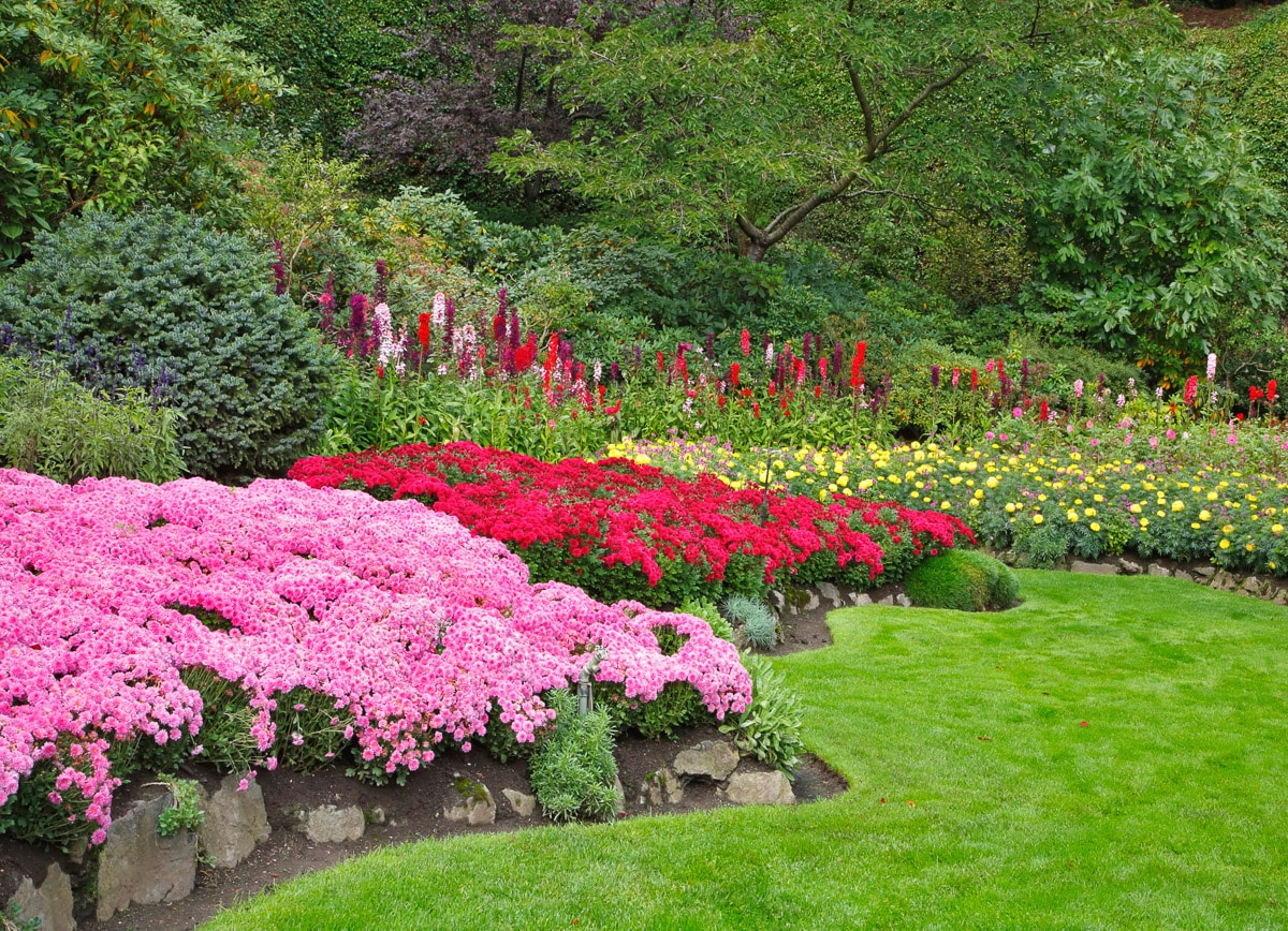 Image of Papermoon "Blumen im Garten"